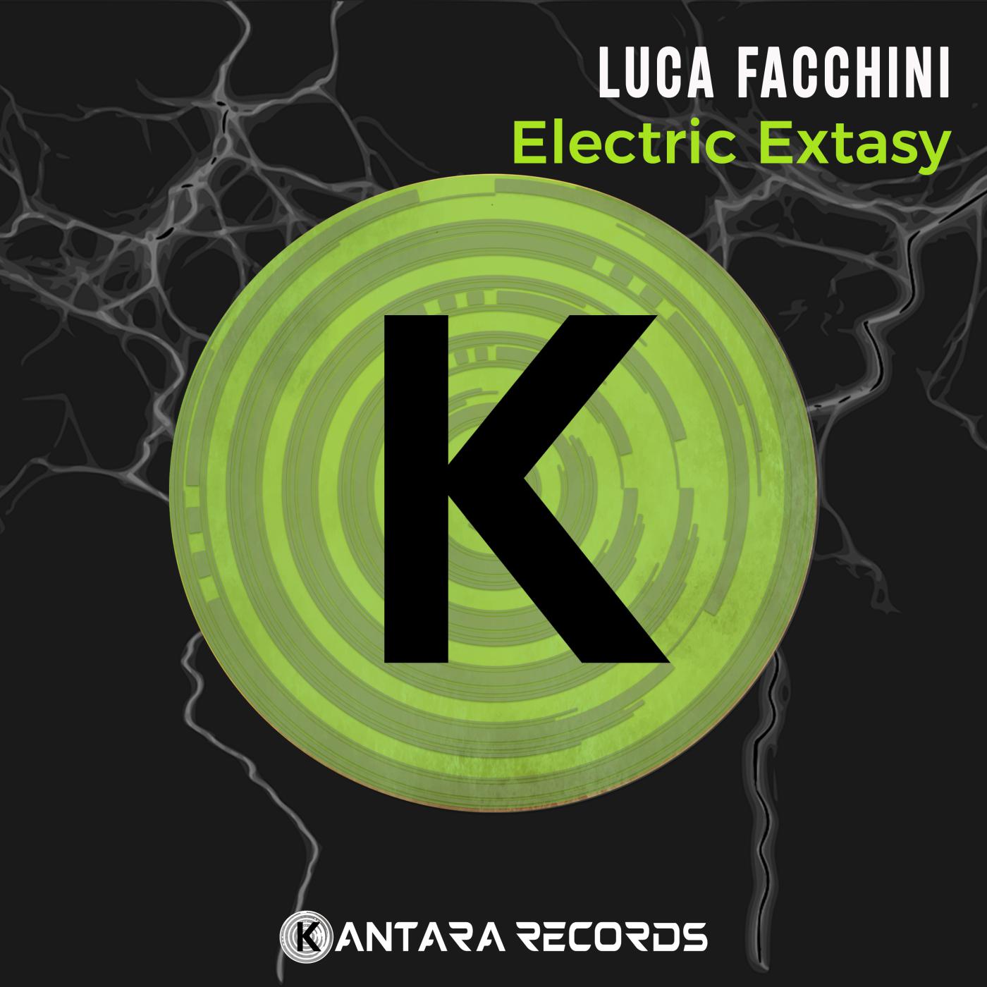 Постер альбома Electric Extasy