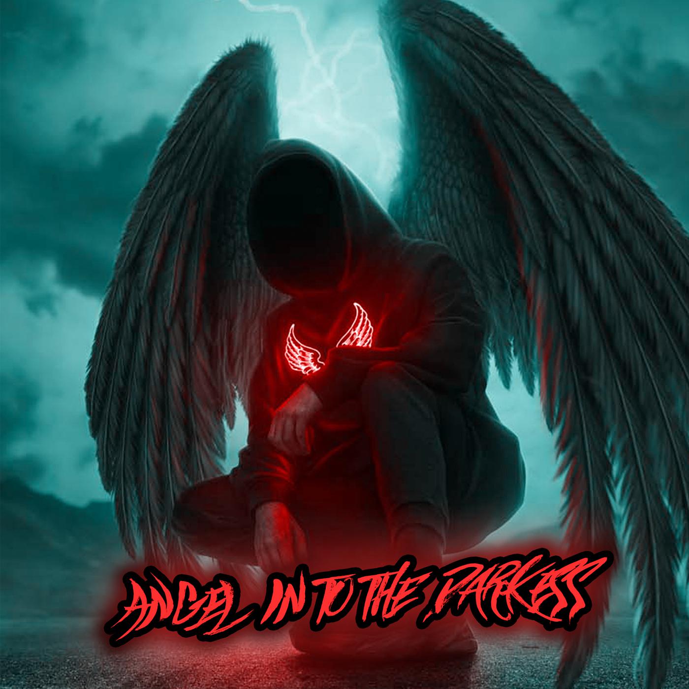Постер альбома Angel in to the Darkness