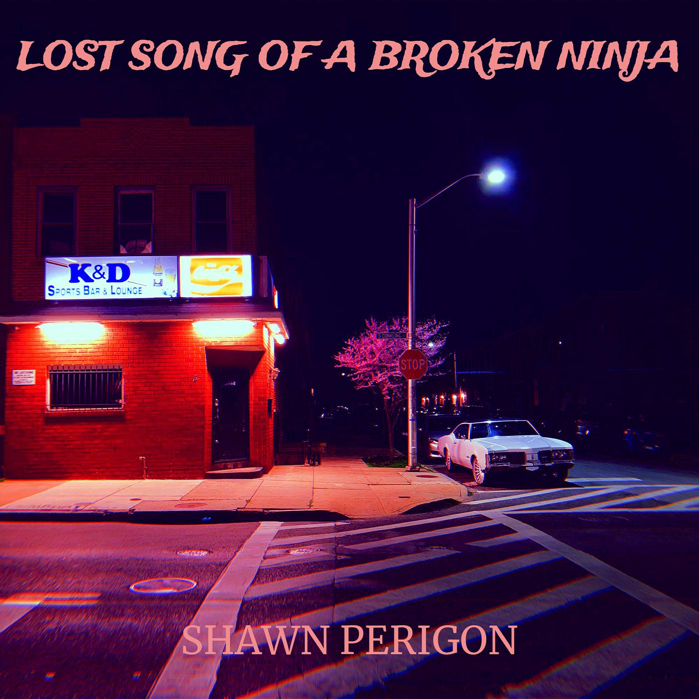 Постер альбома Lost Song of a Broken Ninja