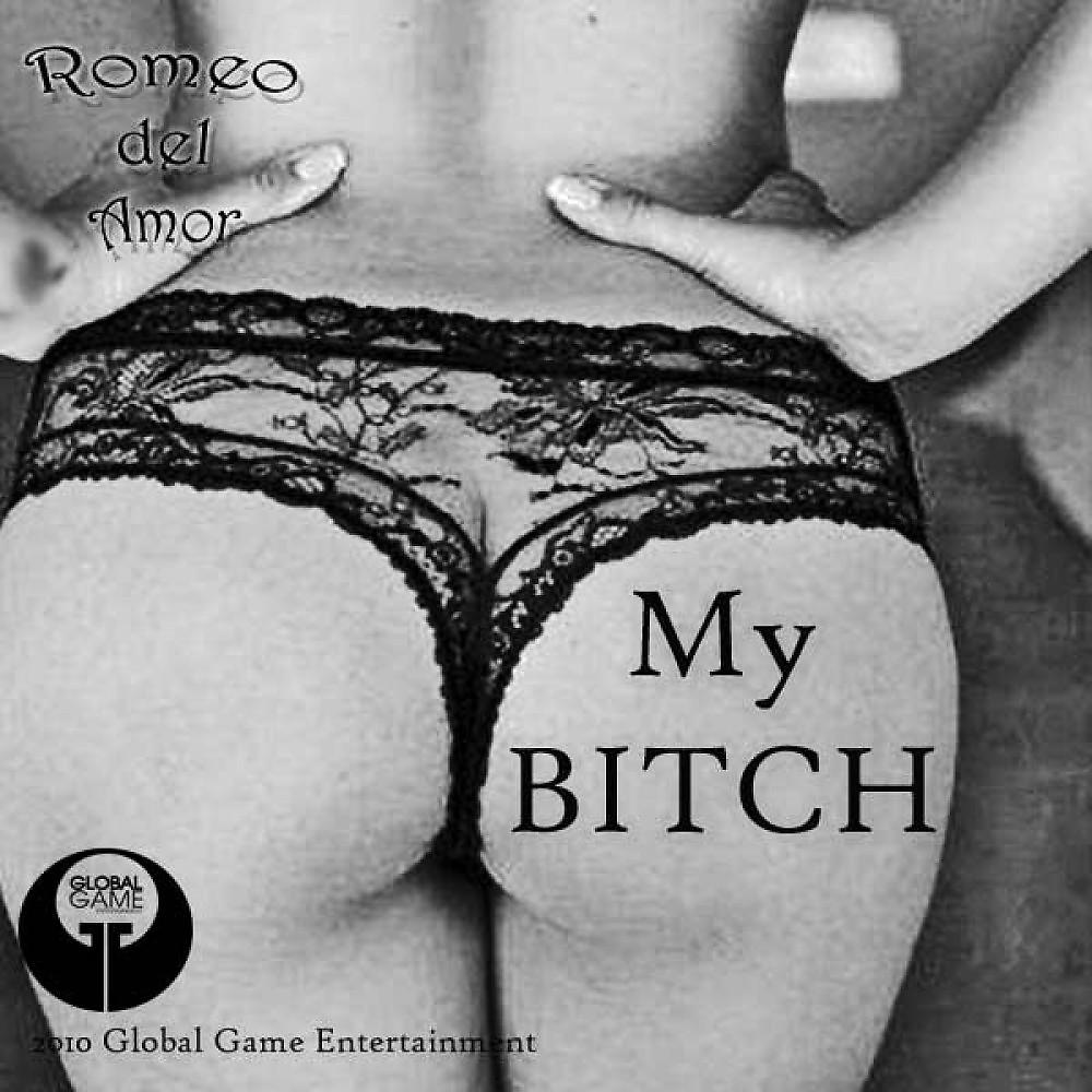 Постер альбома My Bitch