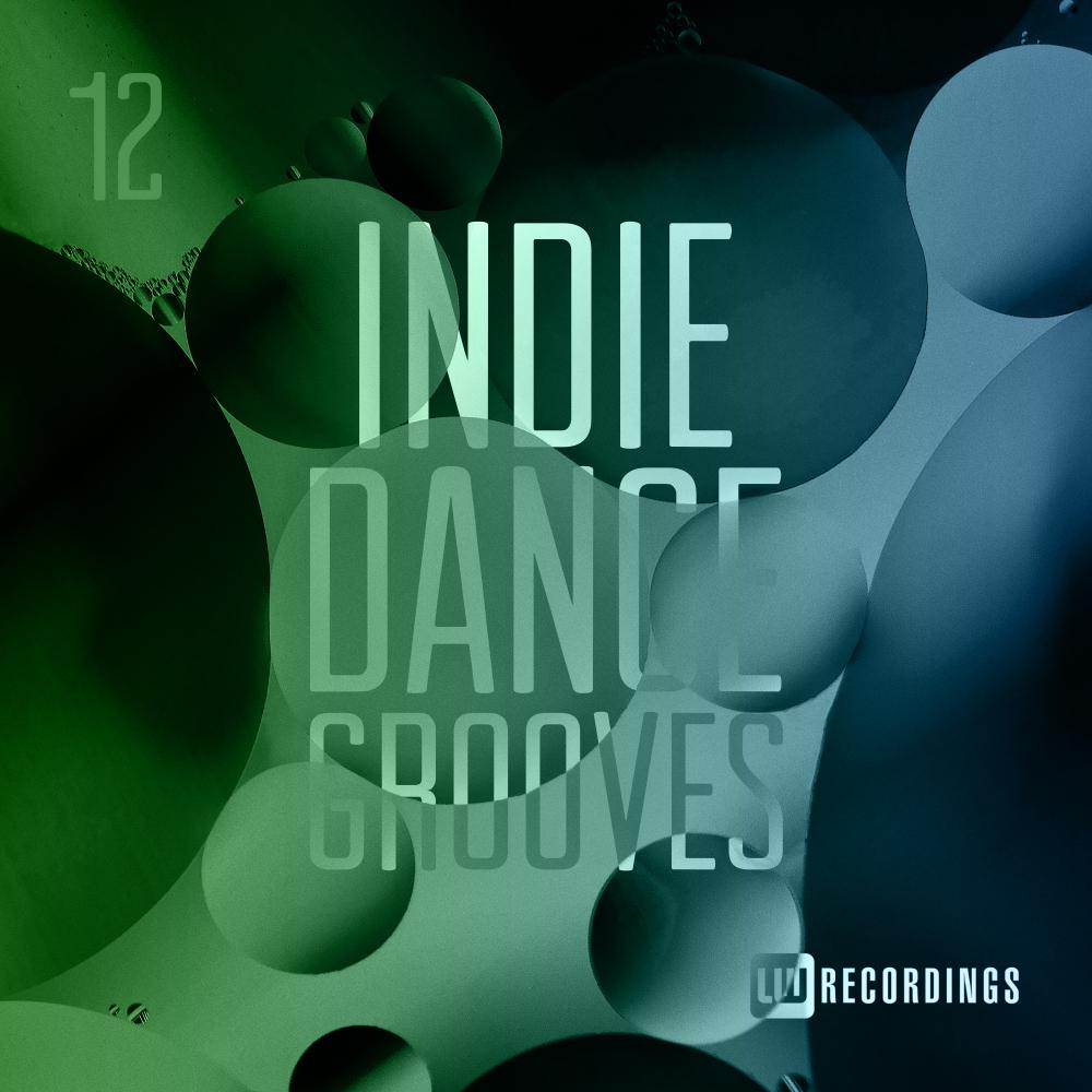 Постер альбома Indie Dance Grooves, Vol. 12
