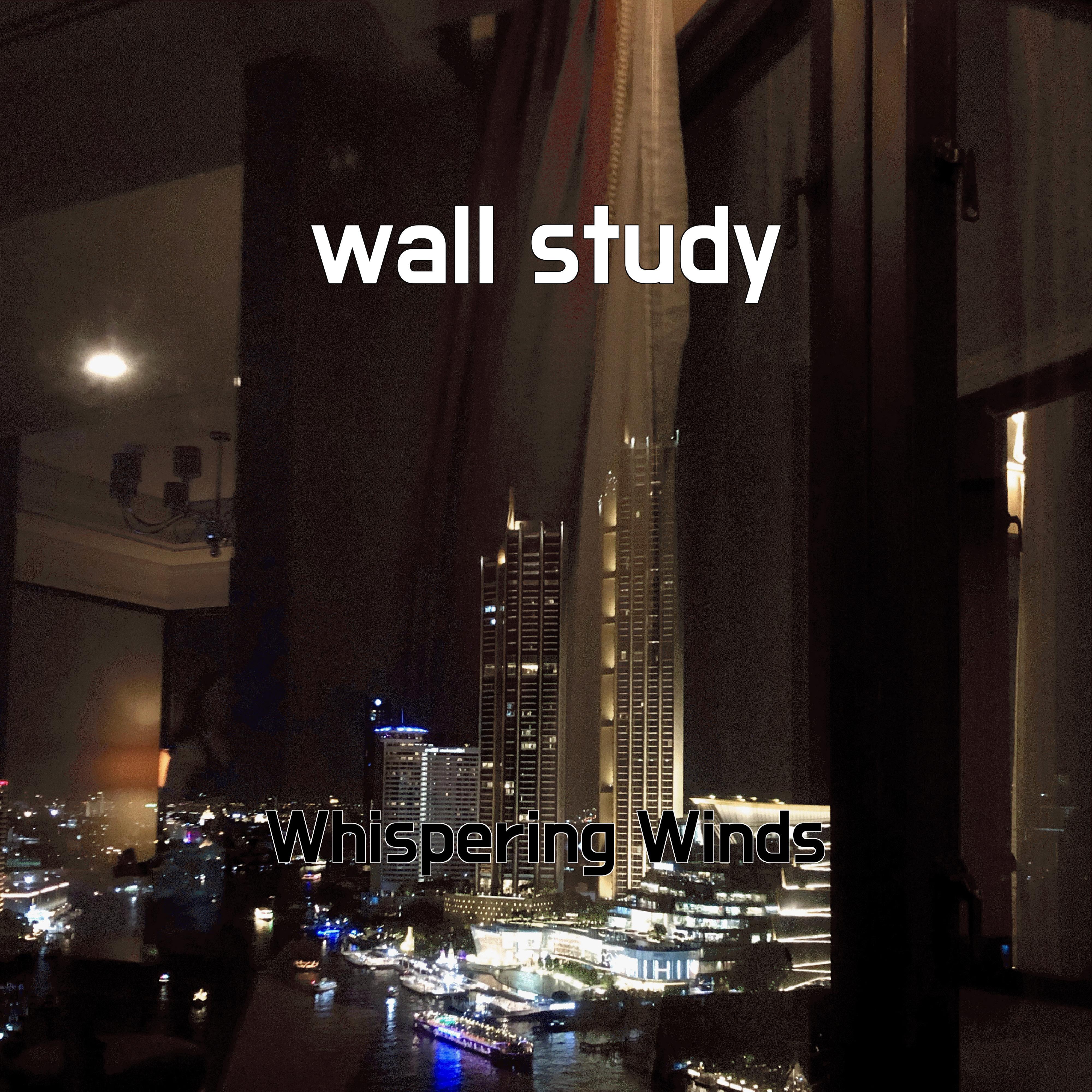 Постер альбома wall study