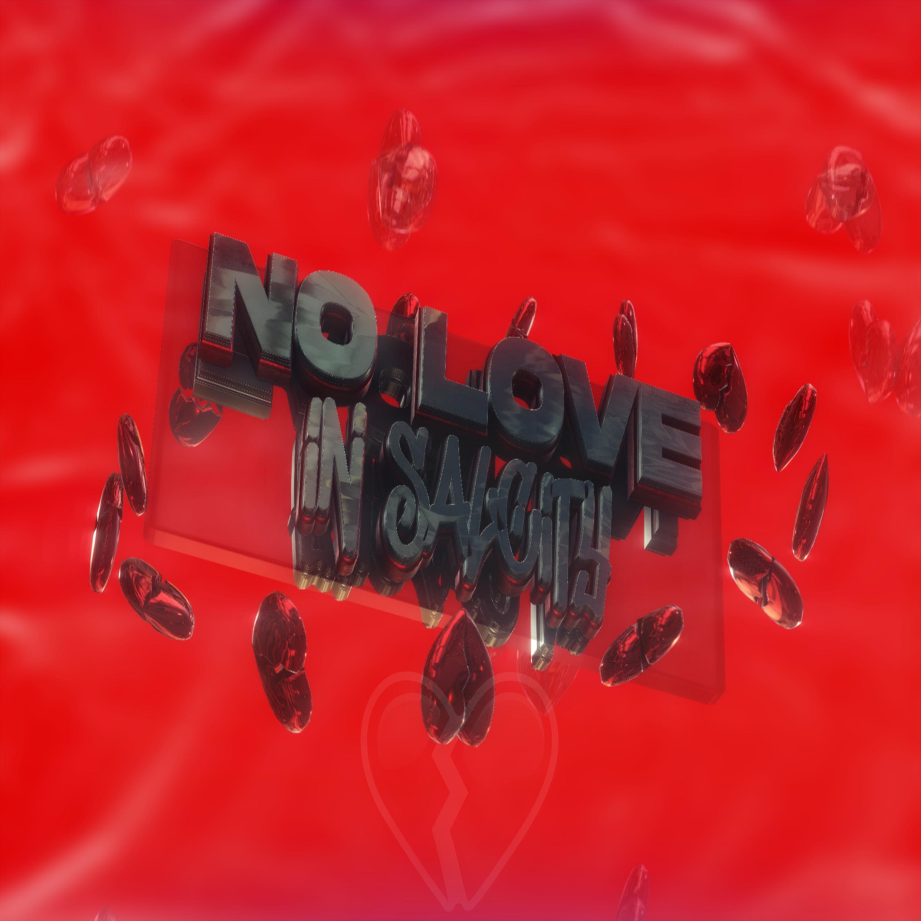 Постер альбома No Love in Salcity