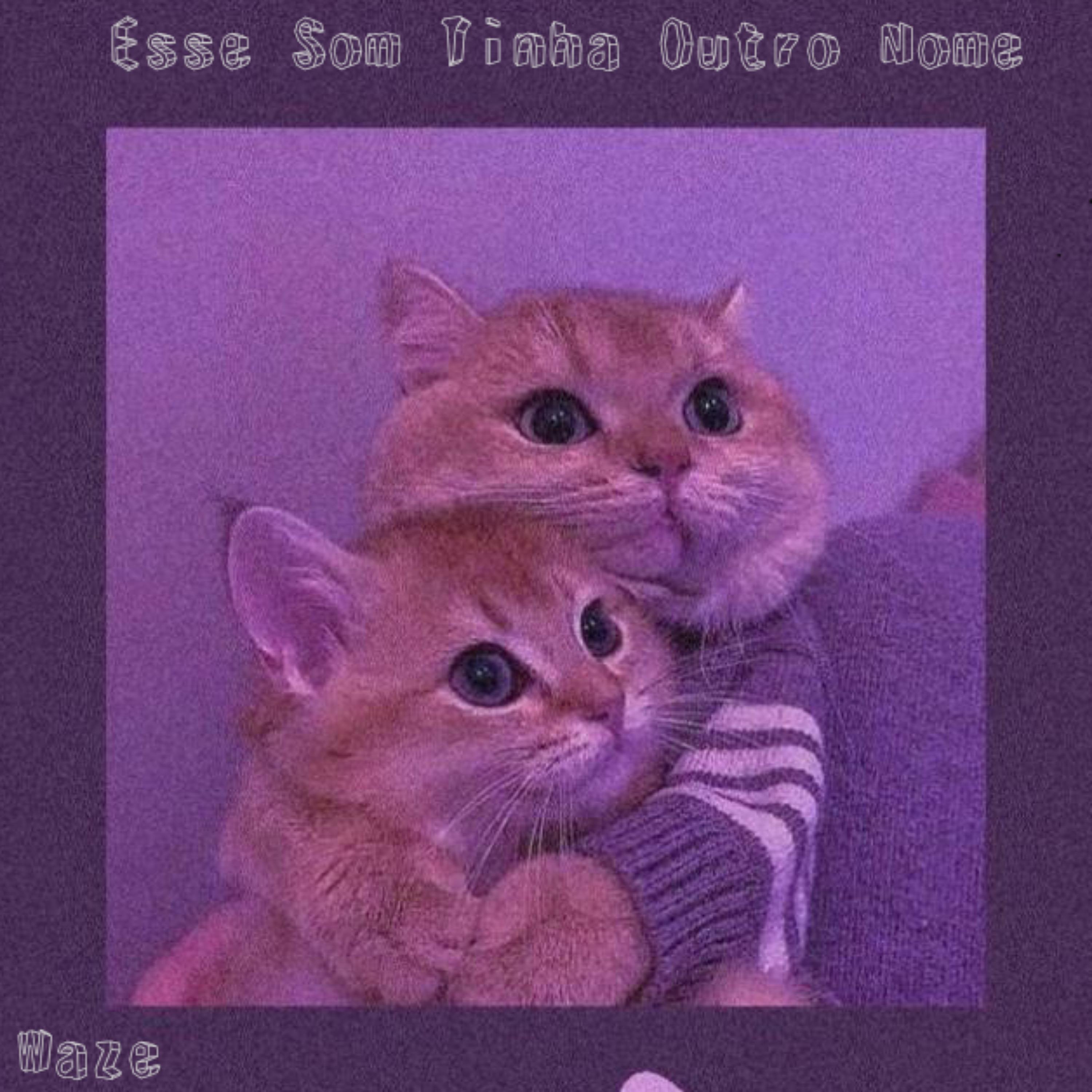 Постер альбома Esse Som Tinha Outro Nome