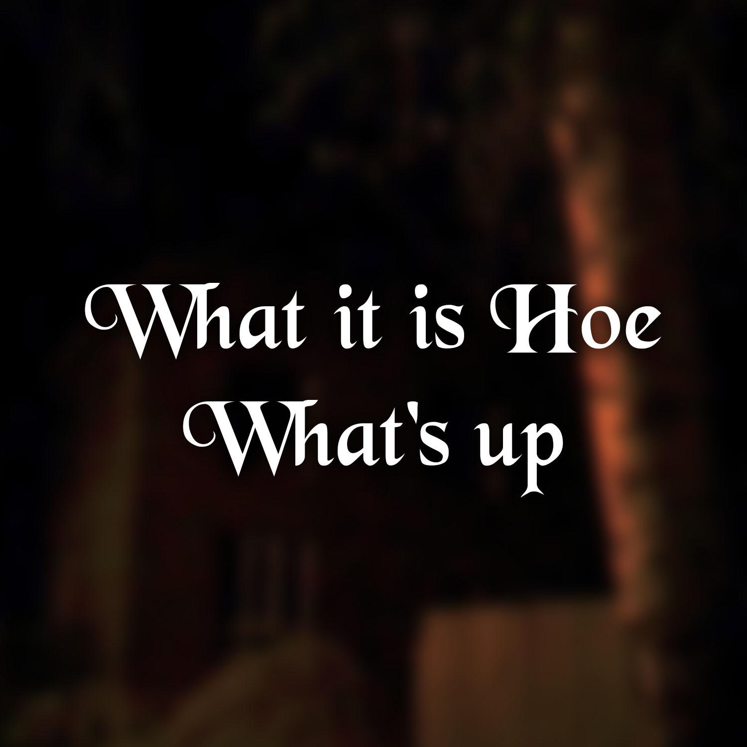 Постер альбома What it is Hoe What's up