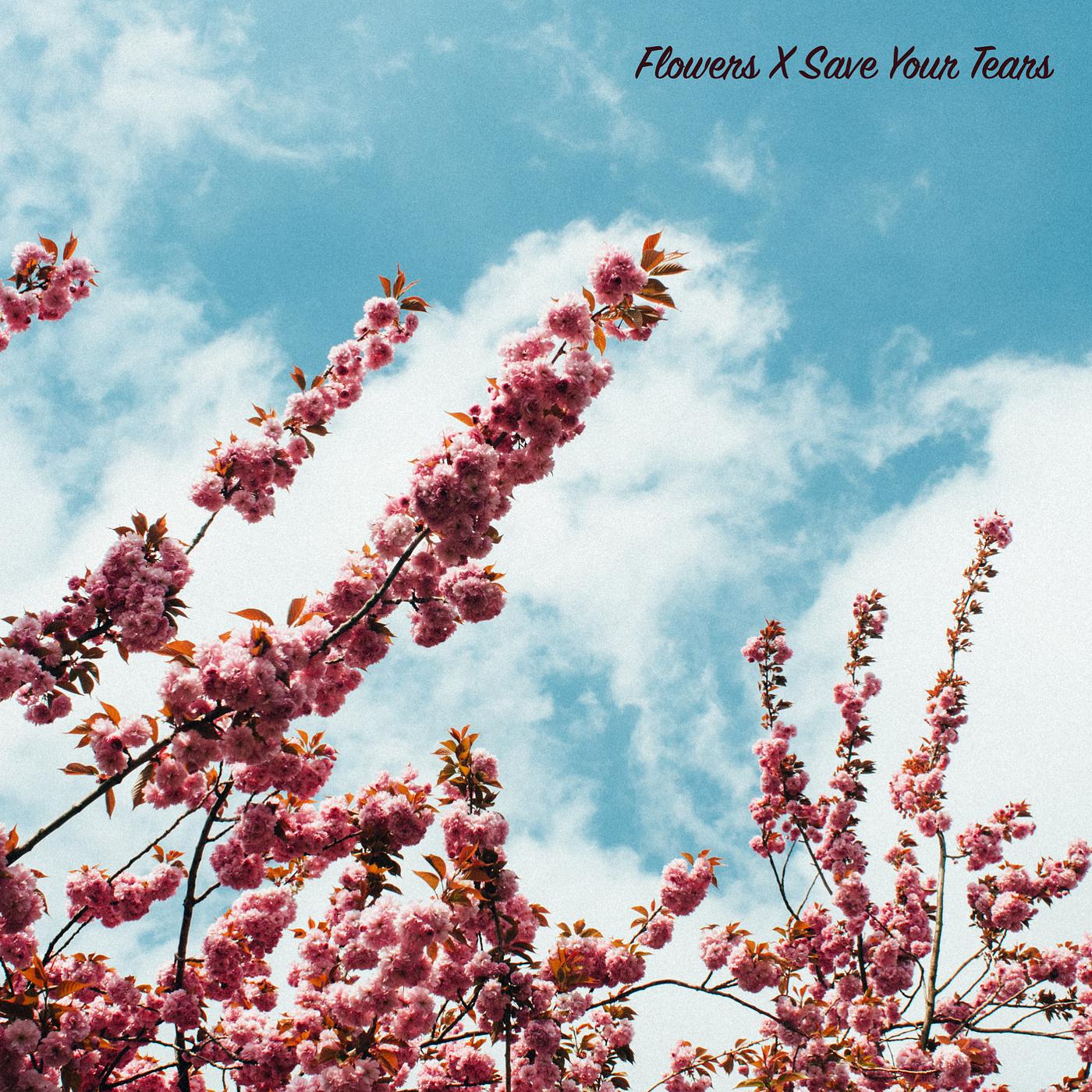 Постер альбома Flowers X Save Your Tears (Piano Version)