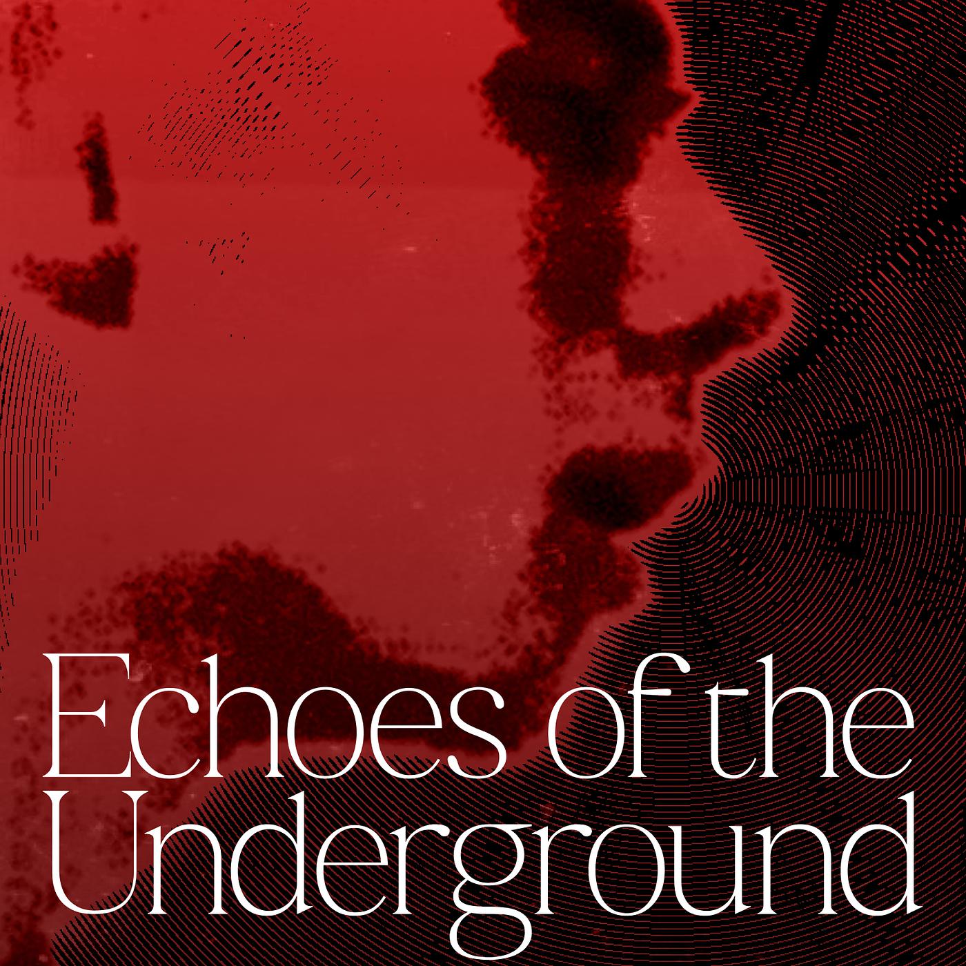 Постер альбома Echoes of the Underground [Bkp01]
