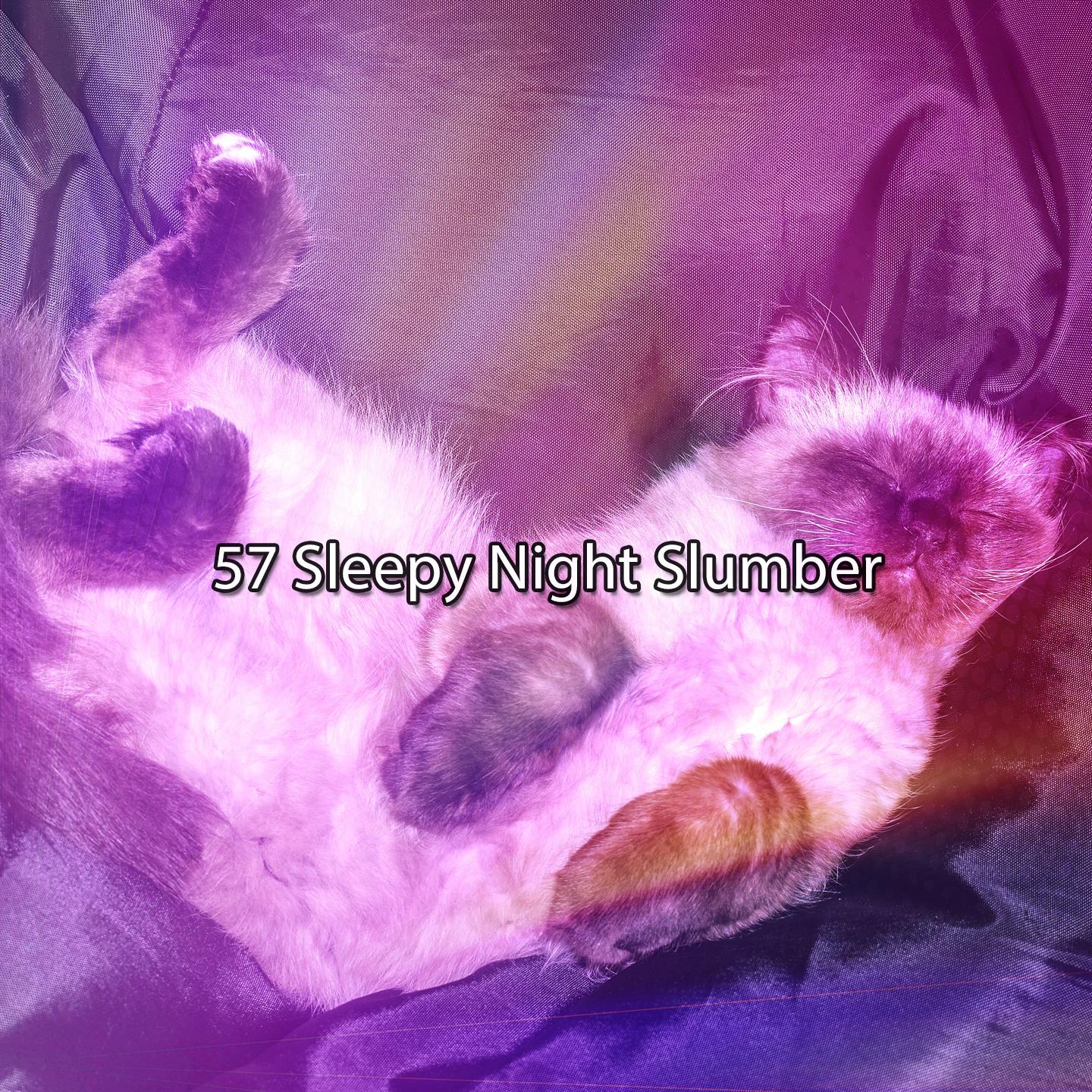 Постер альбома 57 Sleepy Night Slumber