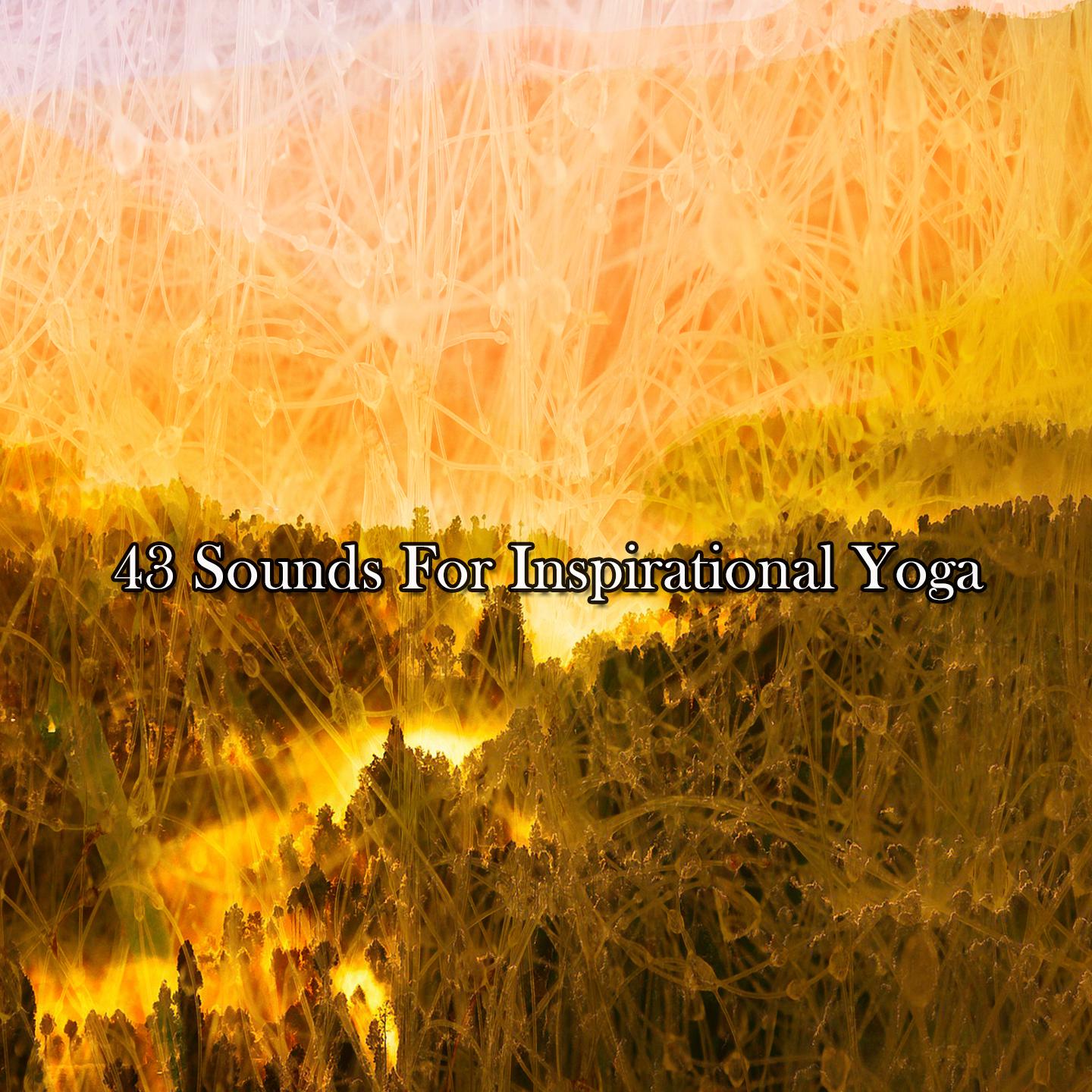 Постер альбома 43 Sounds For Inspirational Yoga