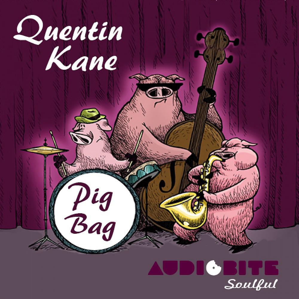Постер альбома Pig Bag