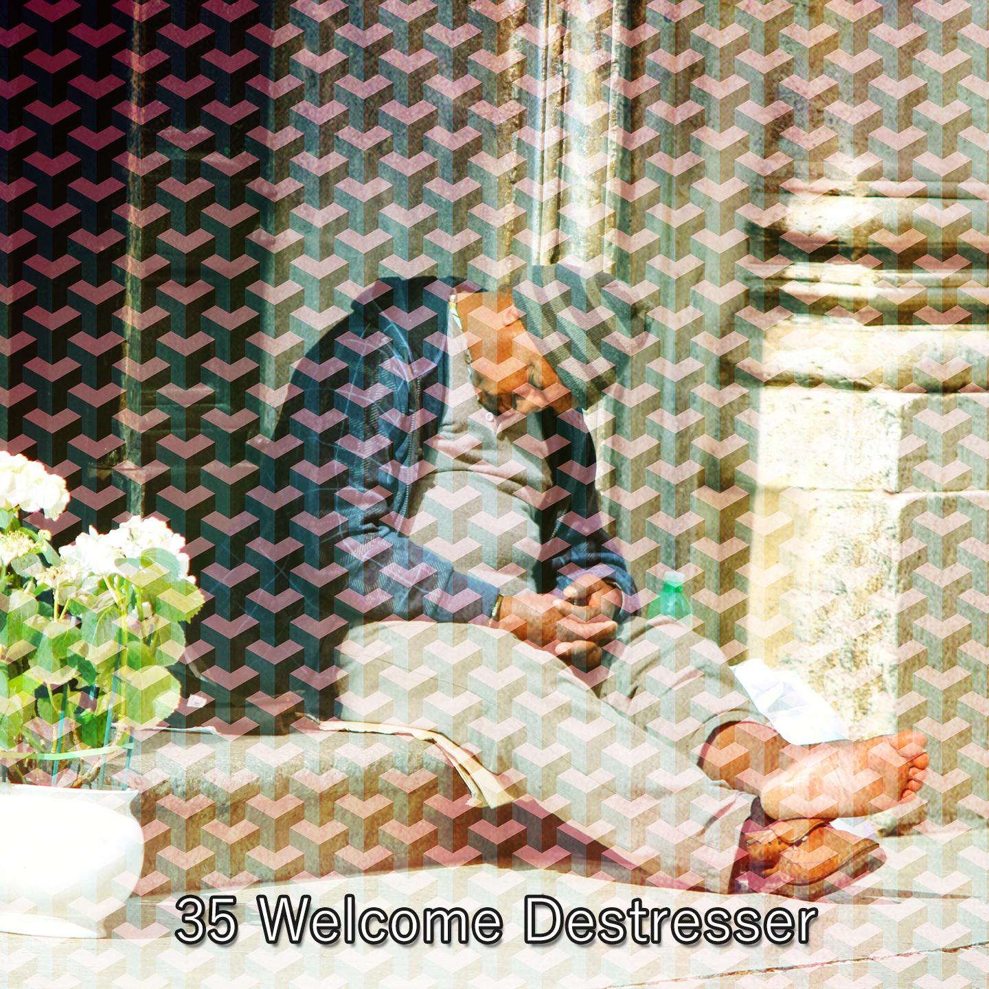 Постер альбома 35 Welcome Destresser