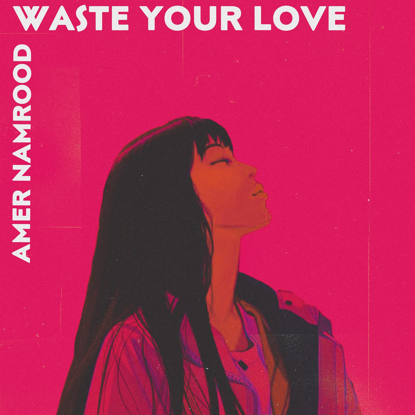Постер альбома Waste Your Love