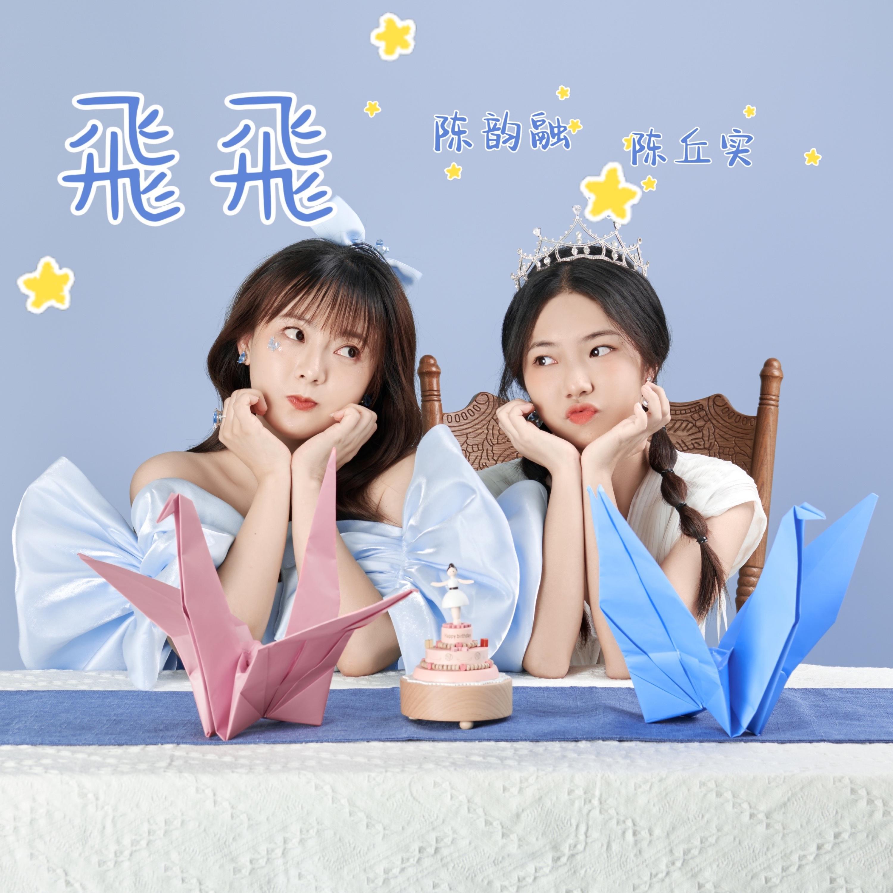 Постер альбома 飞飞