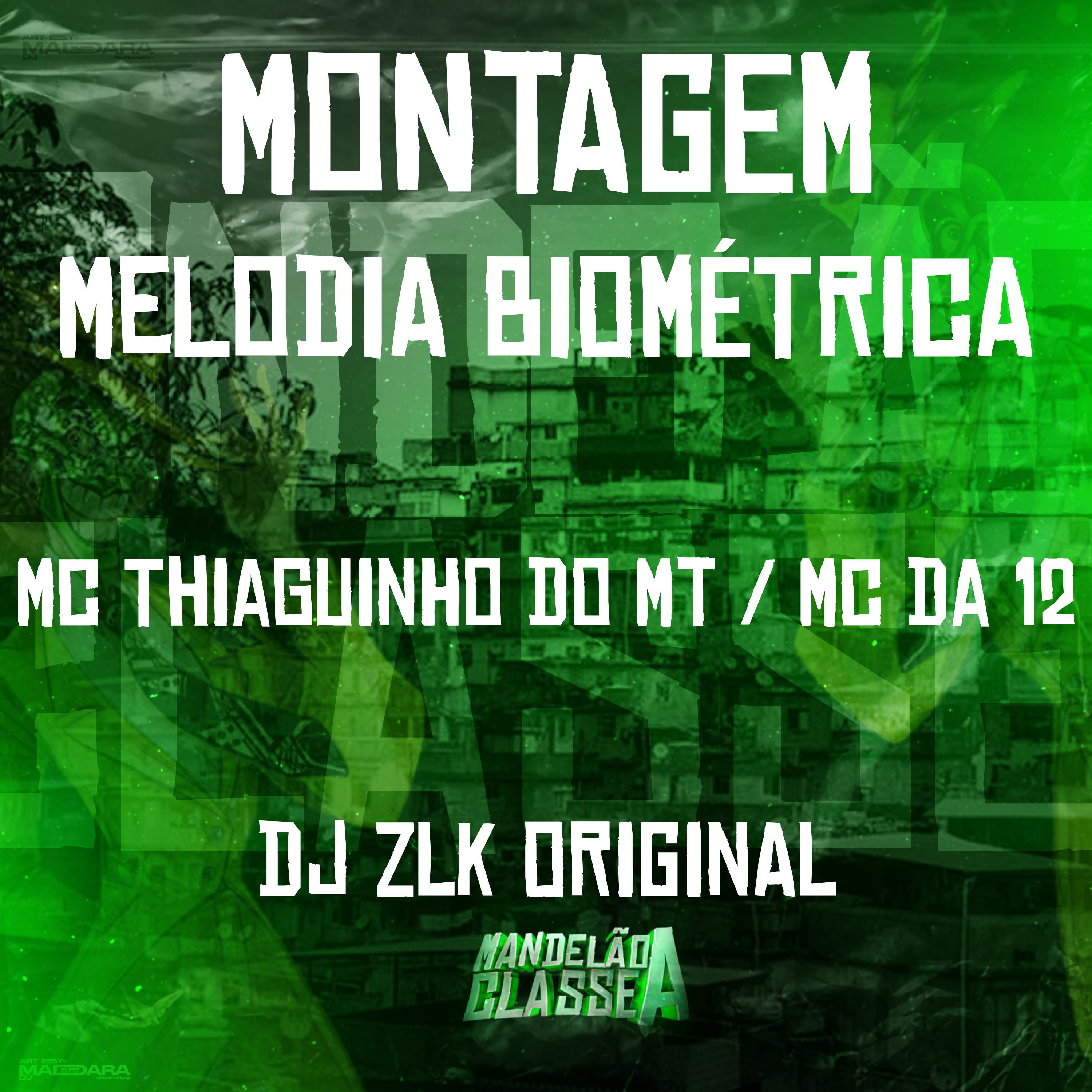 Постер альбома Montagem - Melodia Biométrica