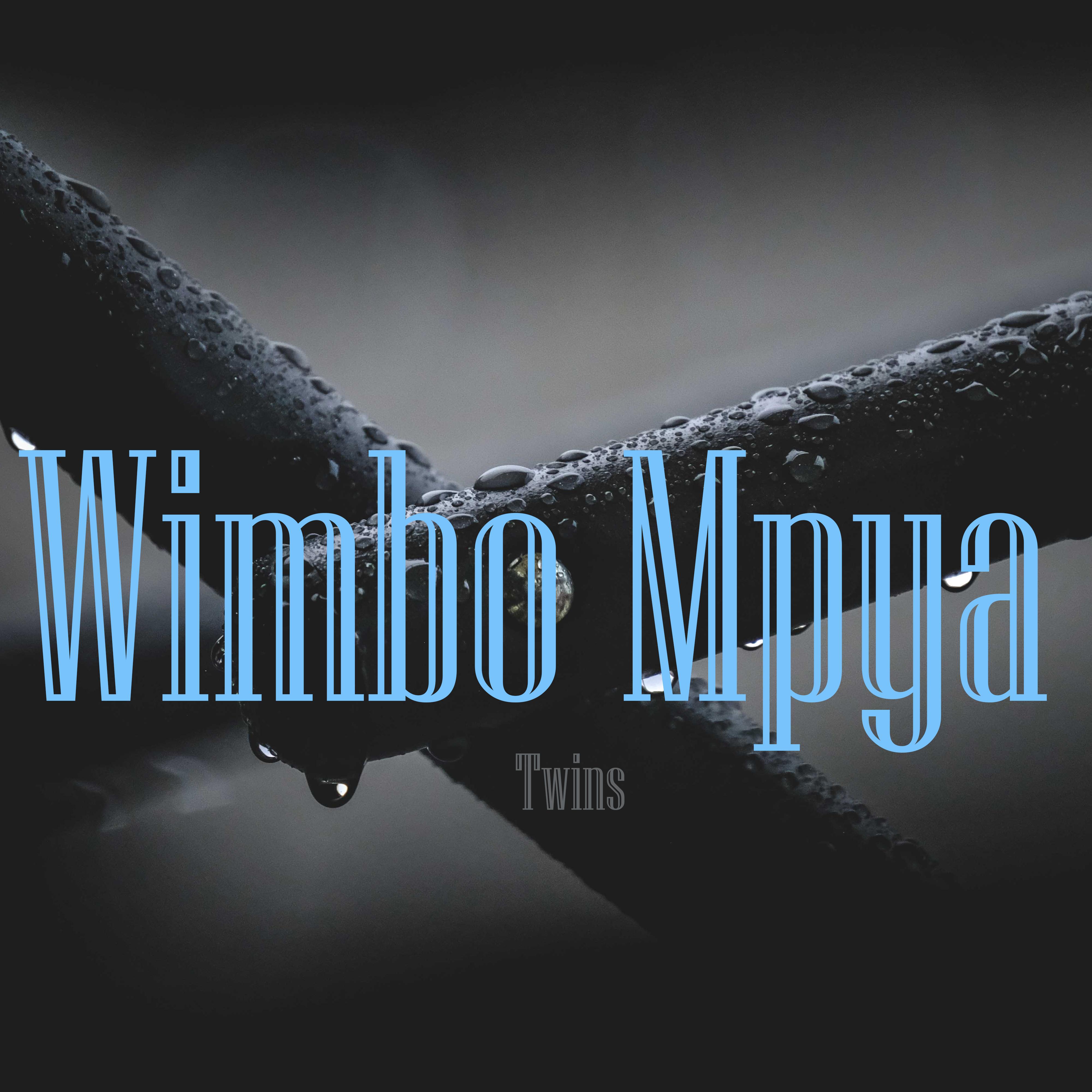 Постер альбома Wimbo Mpya