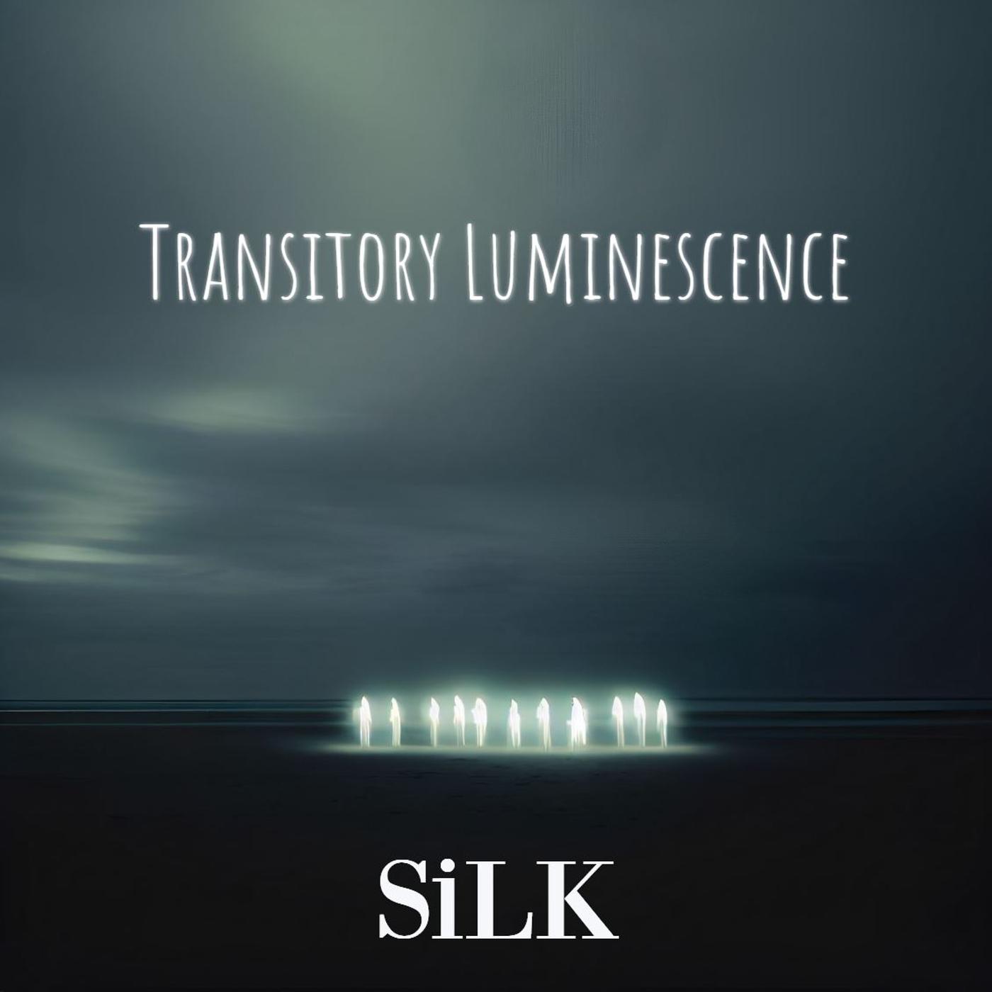 Постер альбома Transitory Luminescence