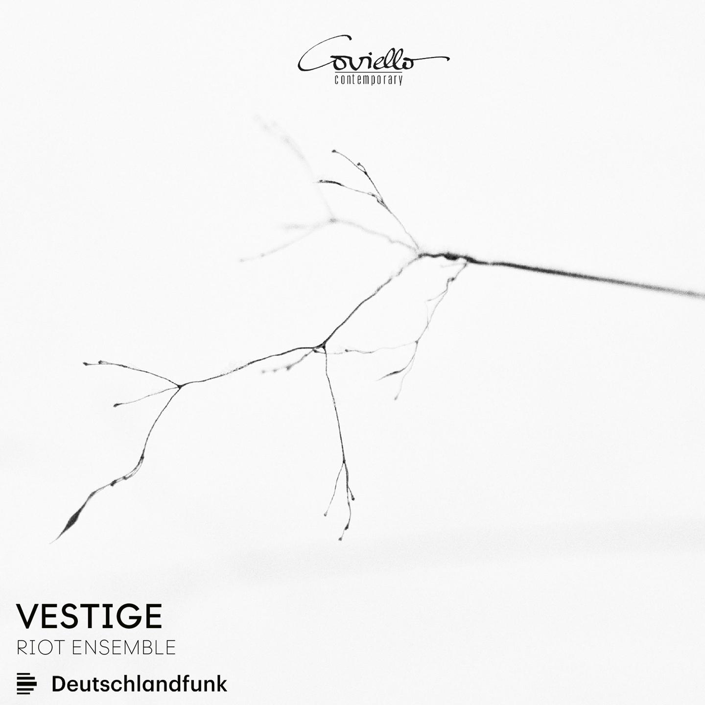 Постер альбома Vestige