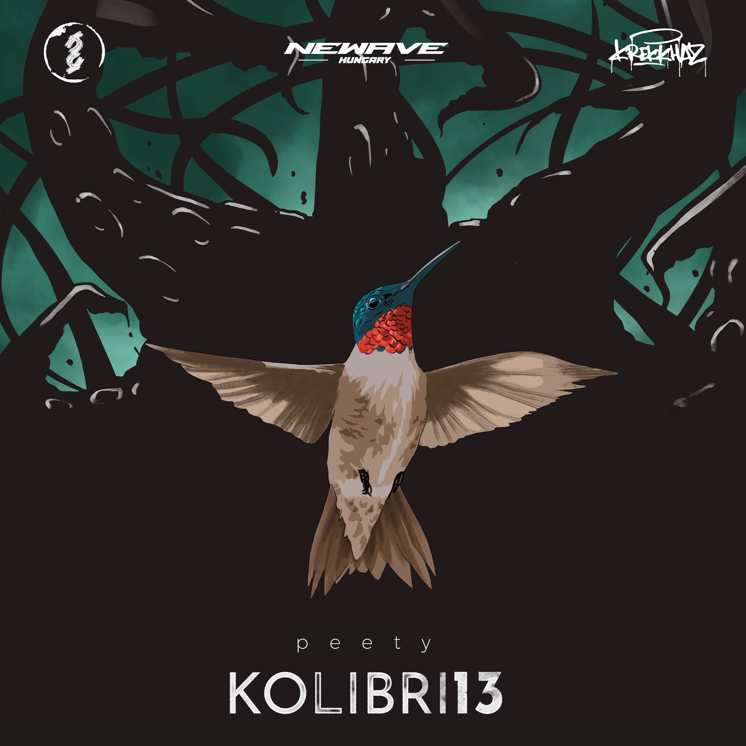 Постер альбома Kolibri13