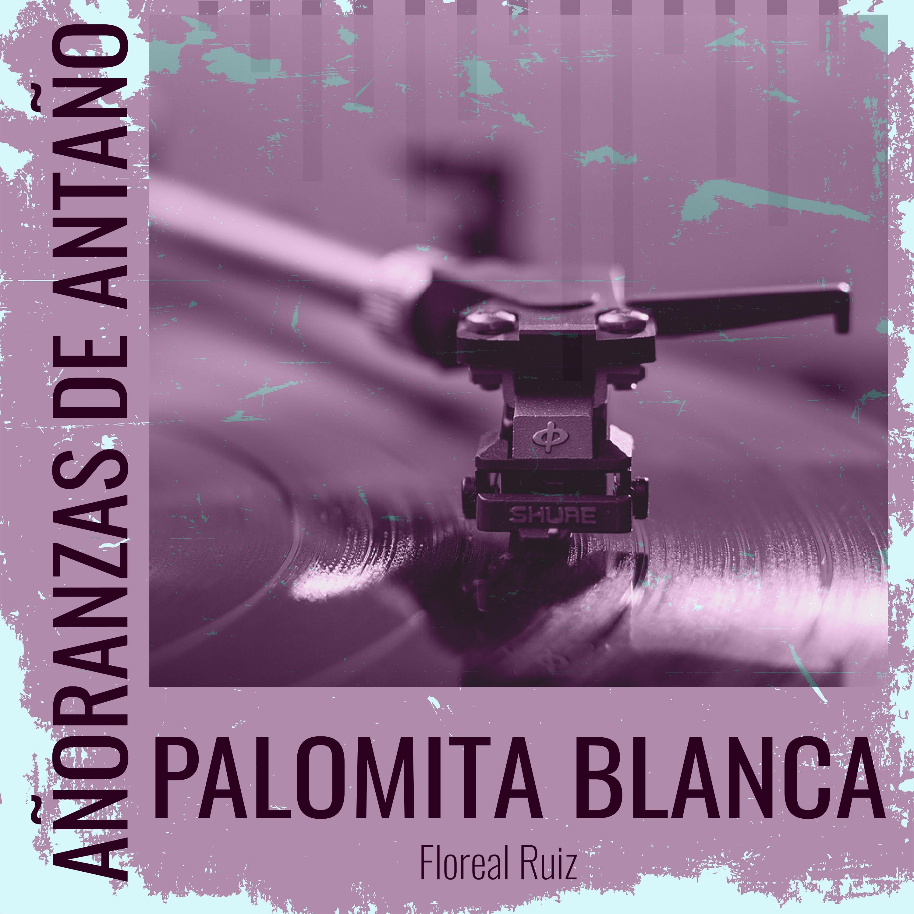 Постер альбома Añoranzas de Antaño - Palomita Blanca
