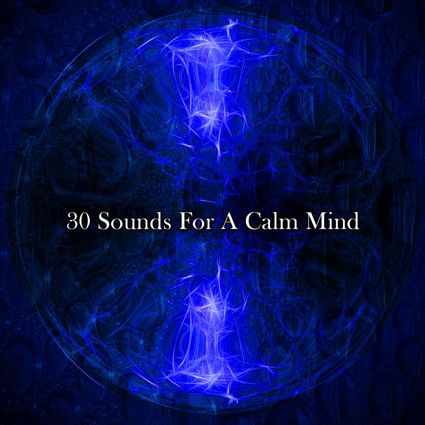 Постер альбома 30 Sounds For A Calm Mind