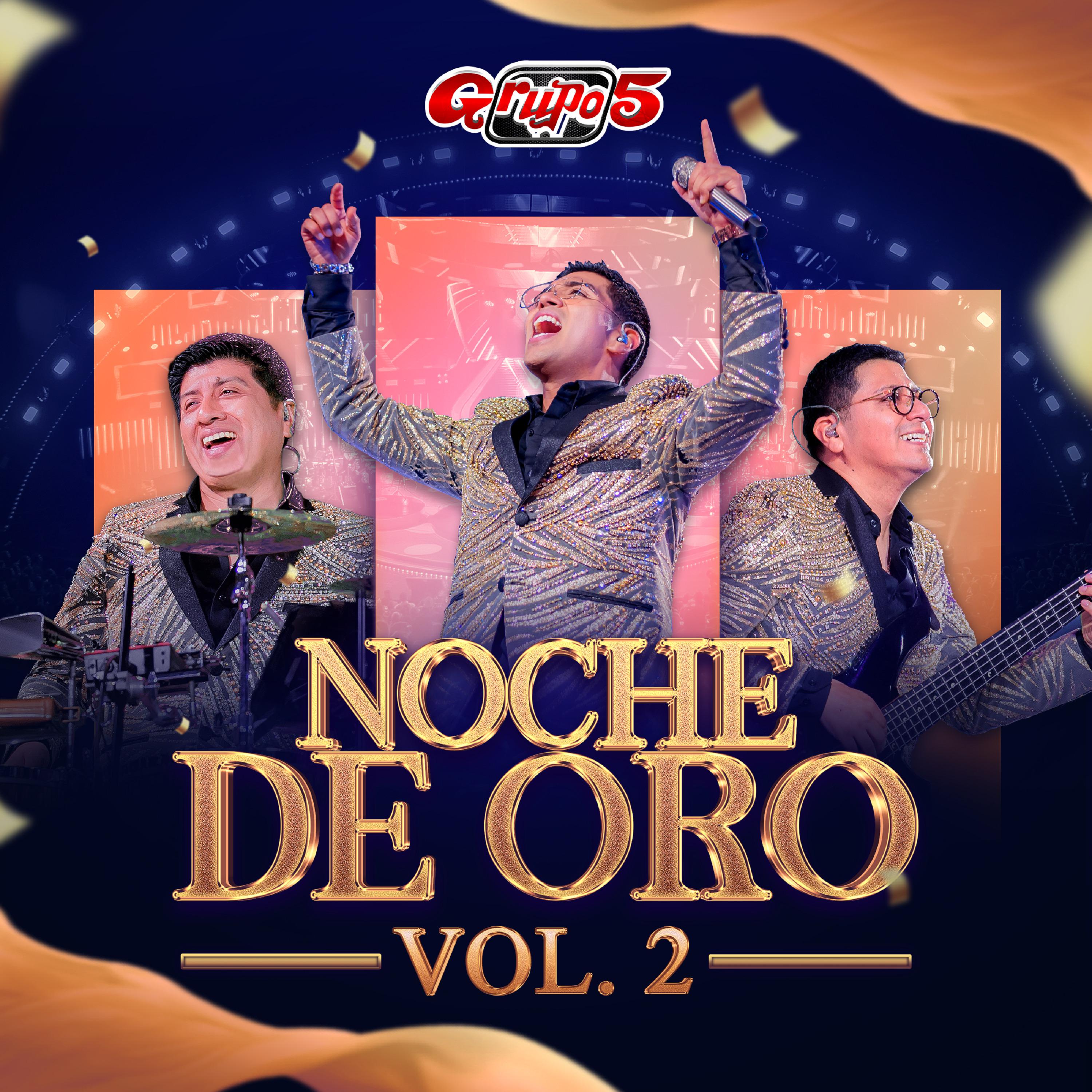 Постер альбома Noche de Oro, Vol. 2