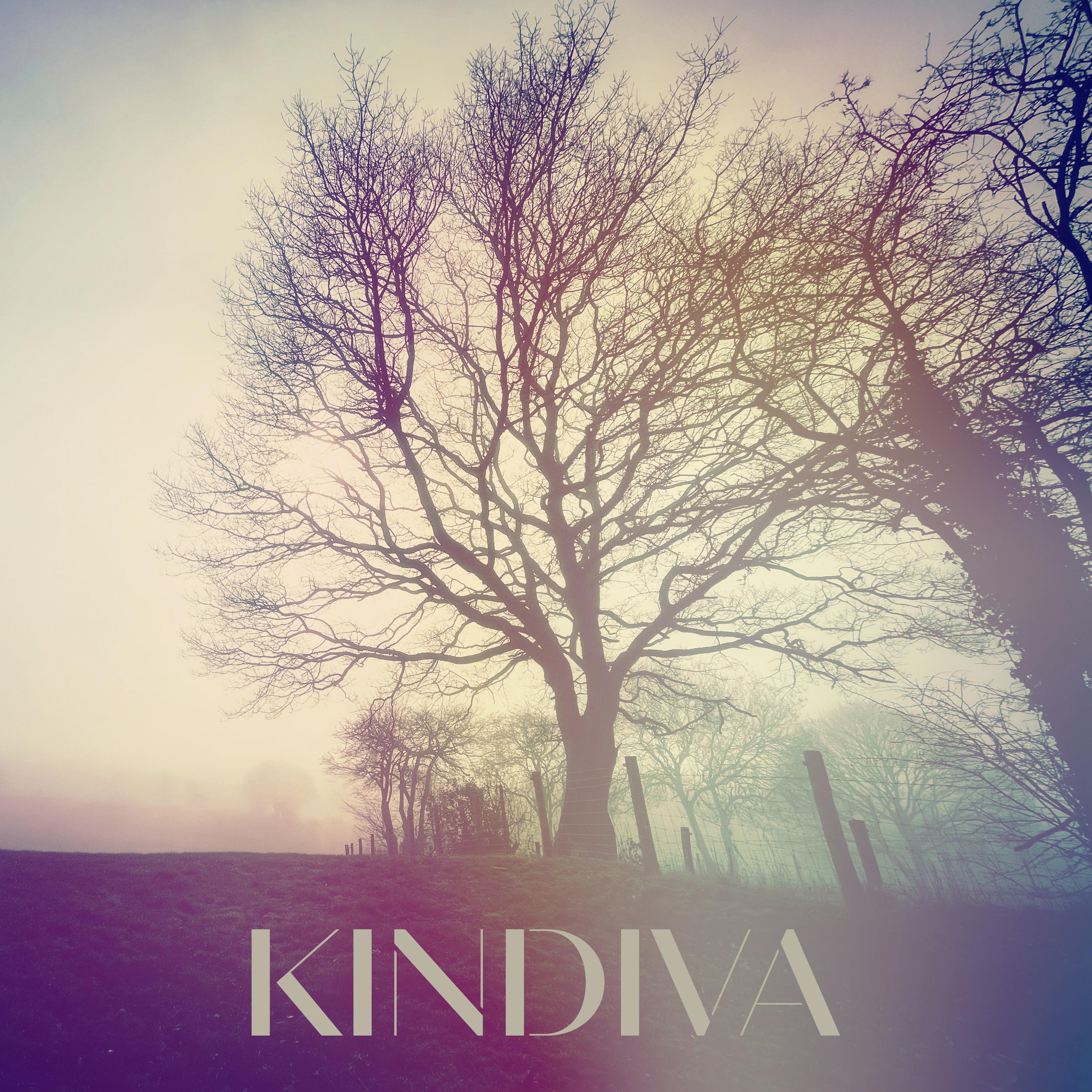 Постер альбома Kindiva