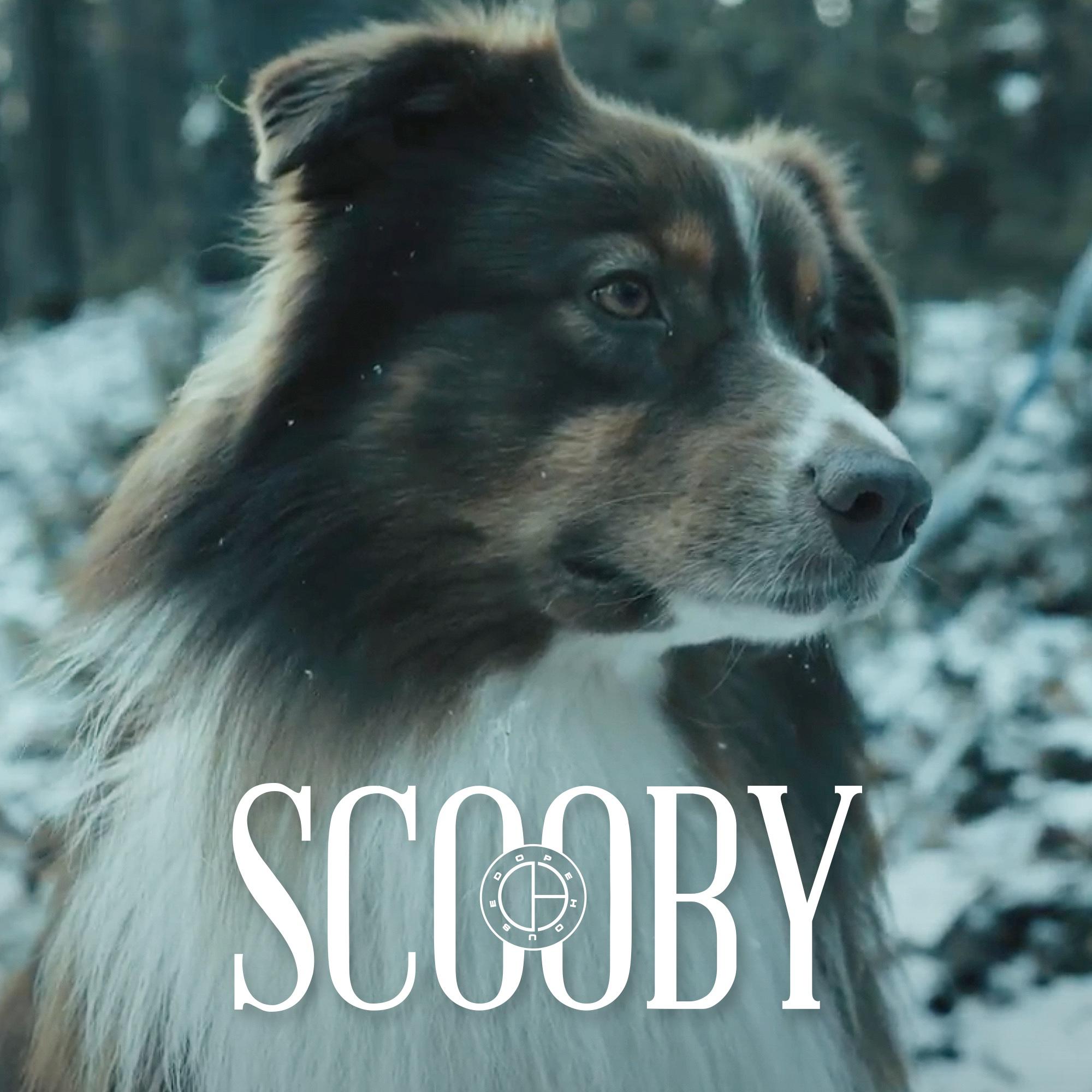 Постер альбома Scooby