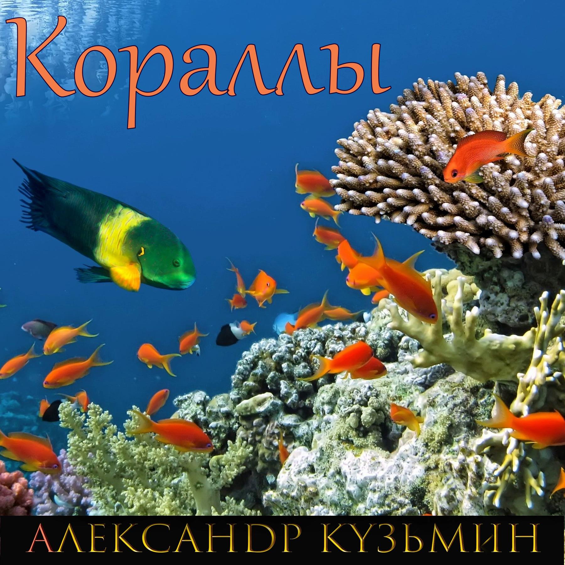 Постер альбома Кораллы
