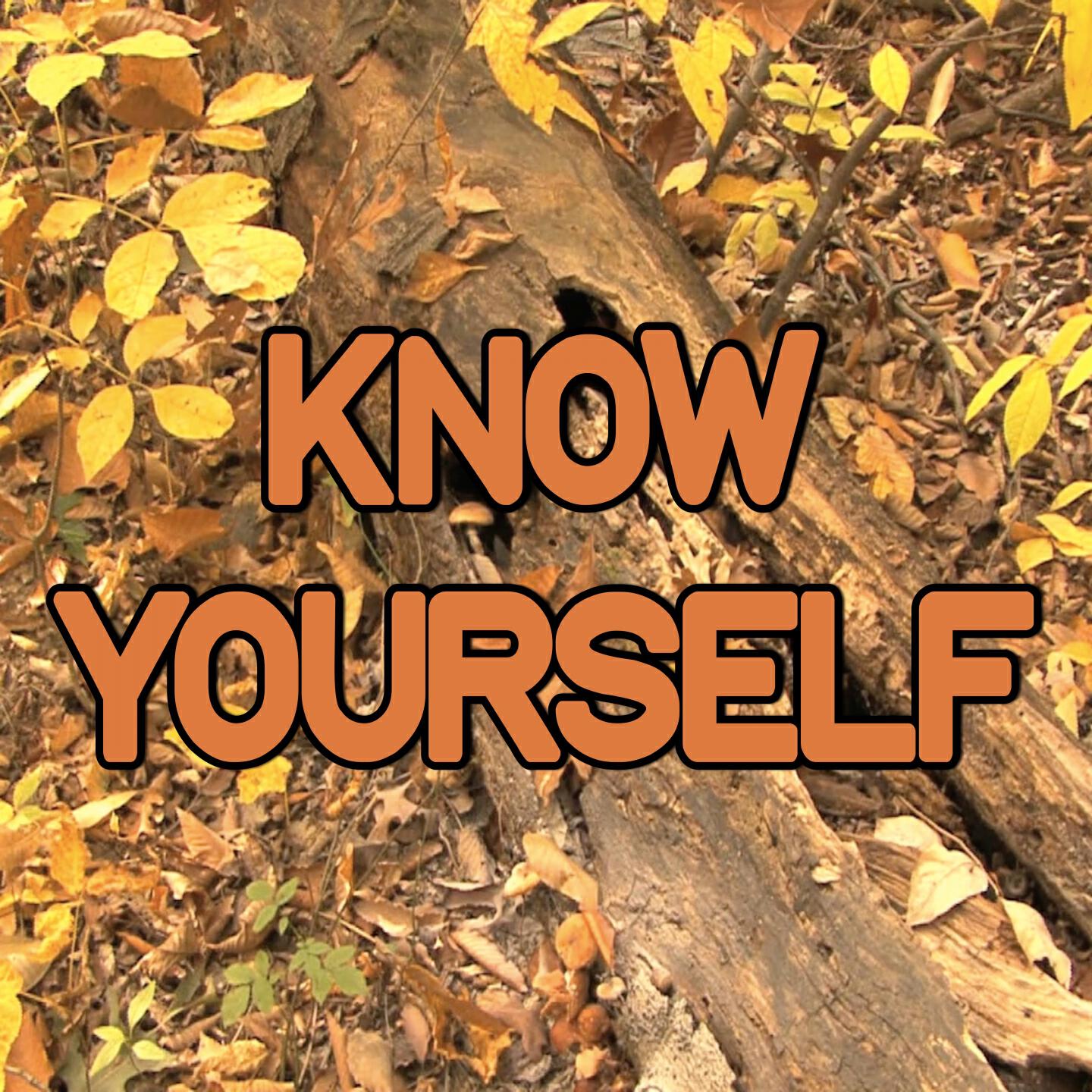 Swift Hits - Know Yourself - Tribute to Drake (Instrumental Version)