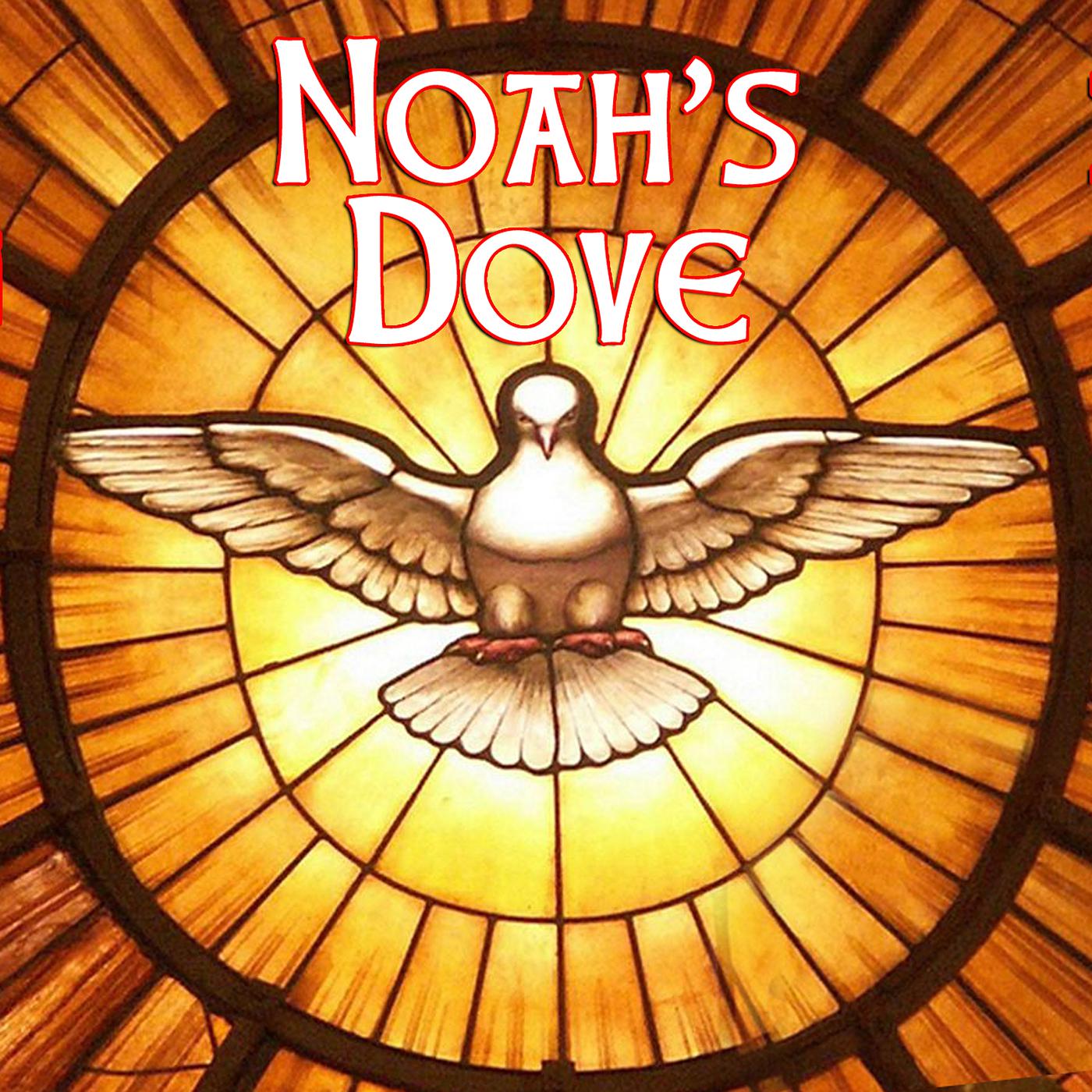 Постер альбома Noah's Dove