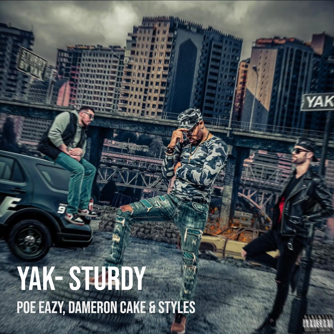 Постер альбома Yak- Sturdy