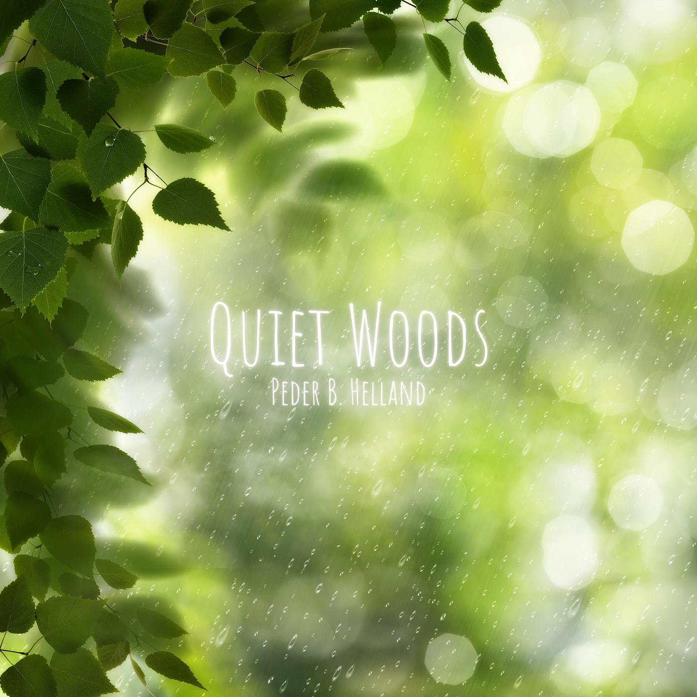Постер альбома Quiet Woods
