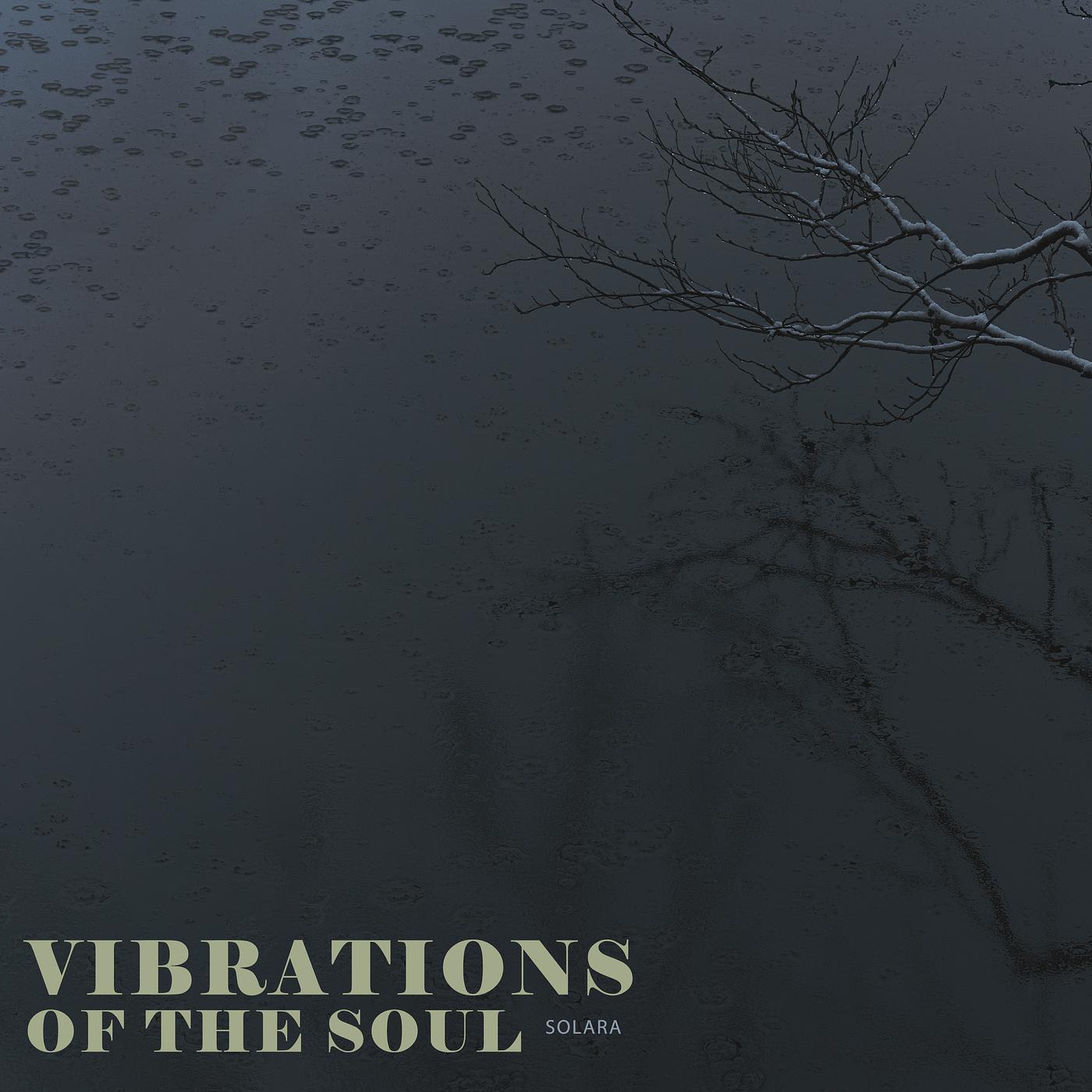 Постер альбома Vibrations of the Soul
