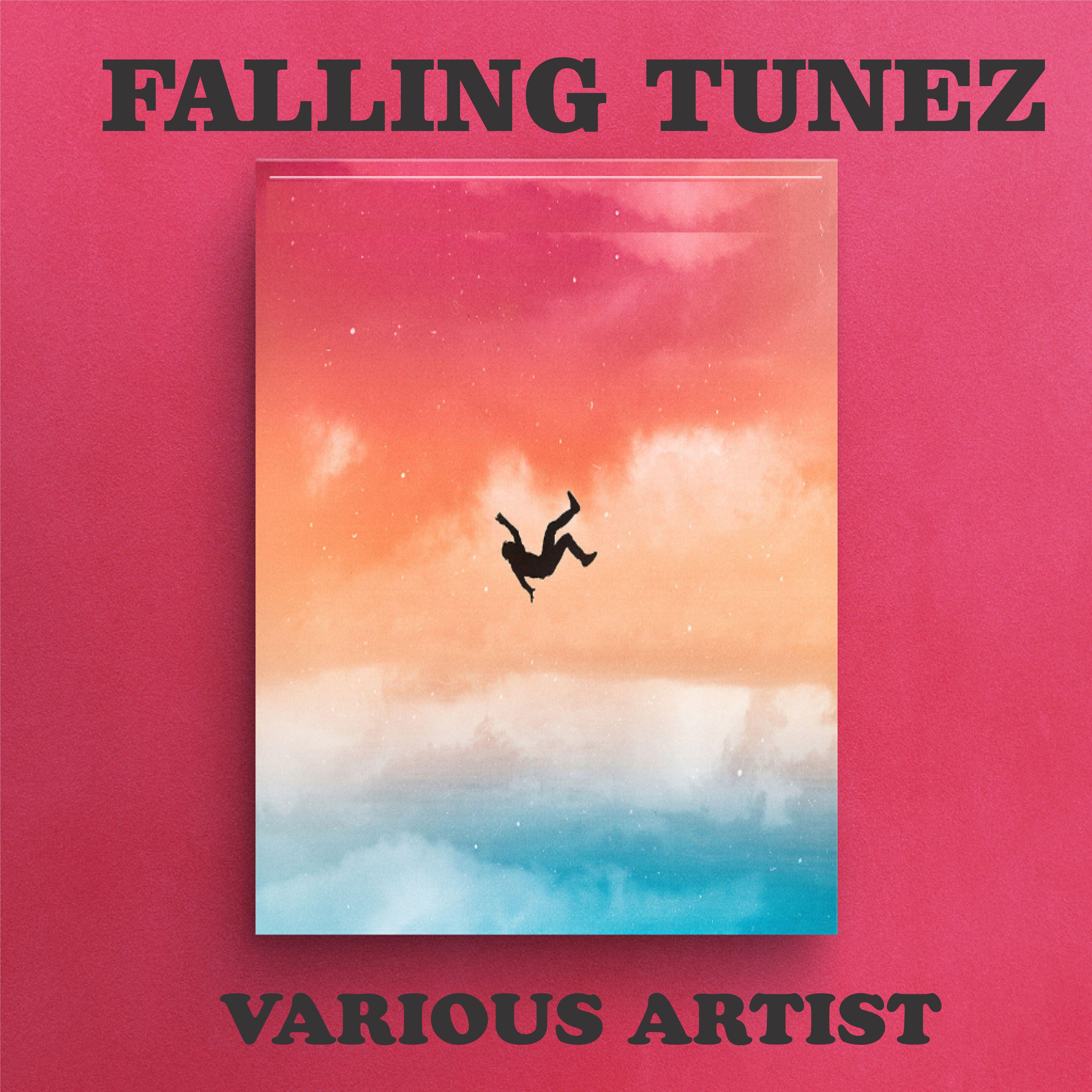 Постер альбома Falling Tunez