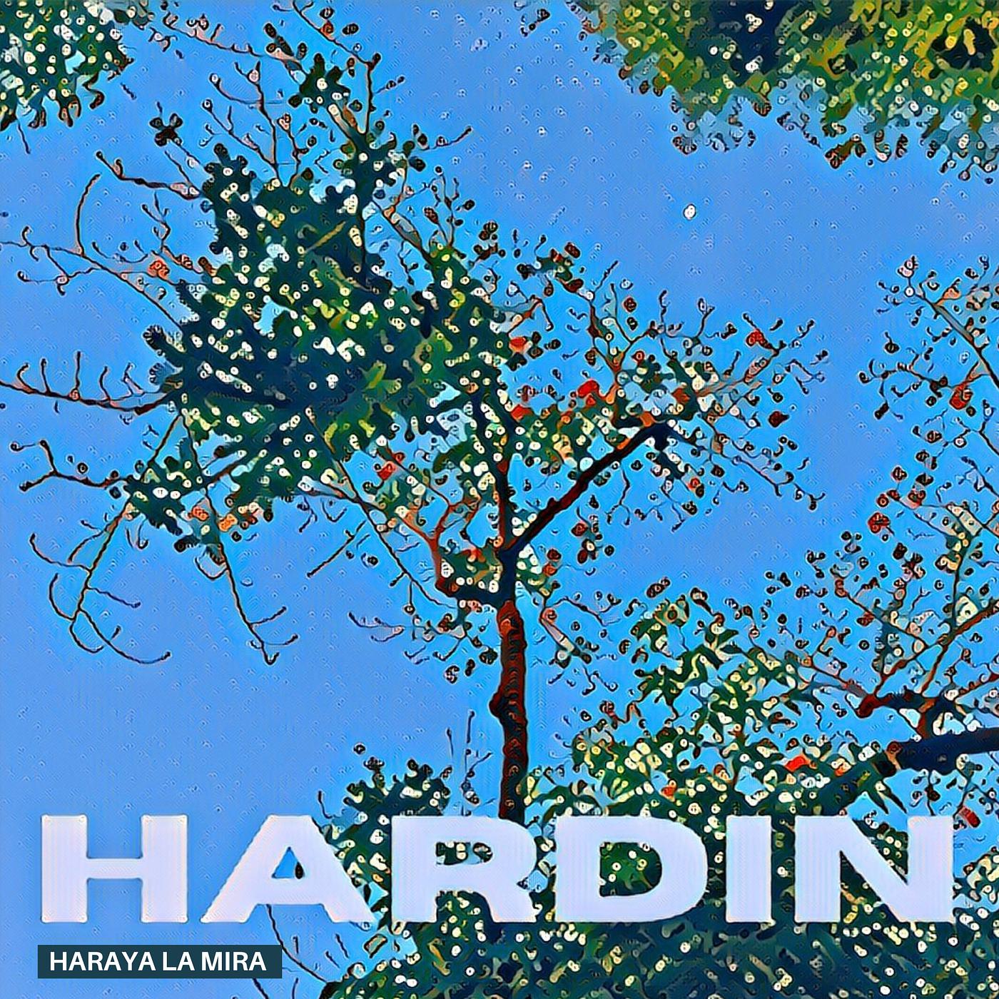 Постер альбома Hardin