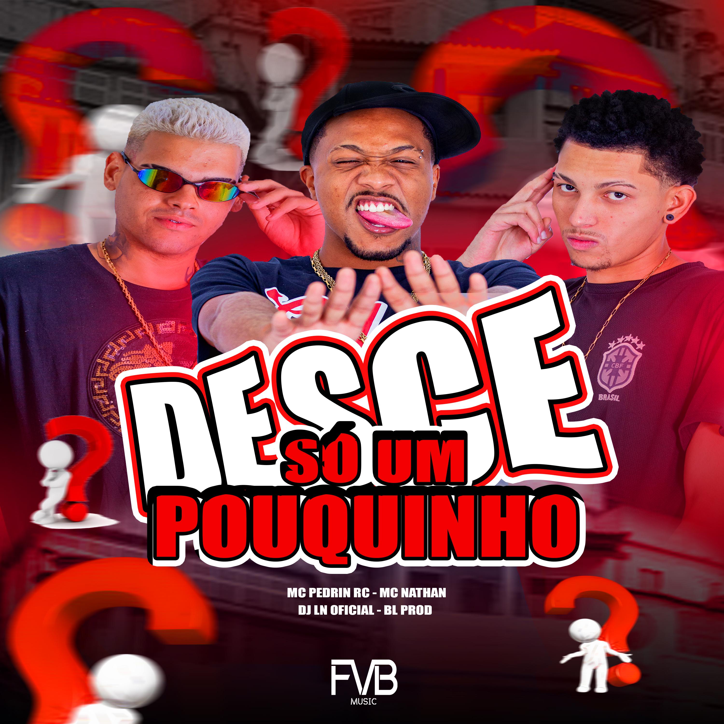 Постер альбома Desce Só um Pouquinho