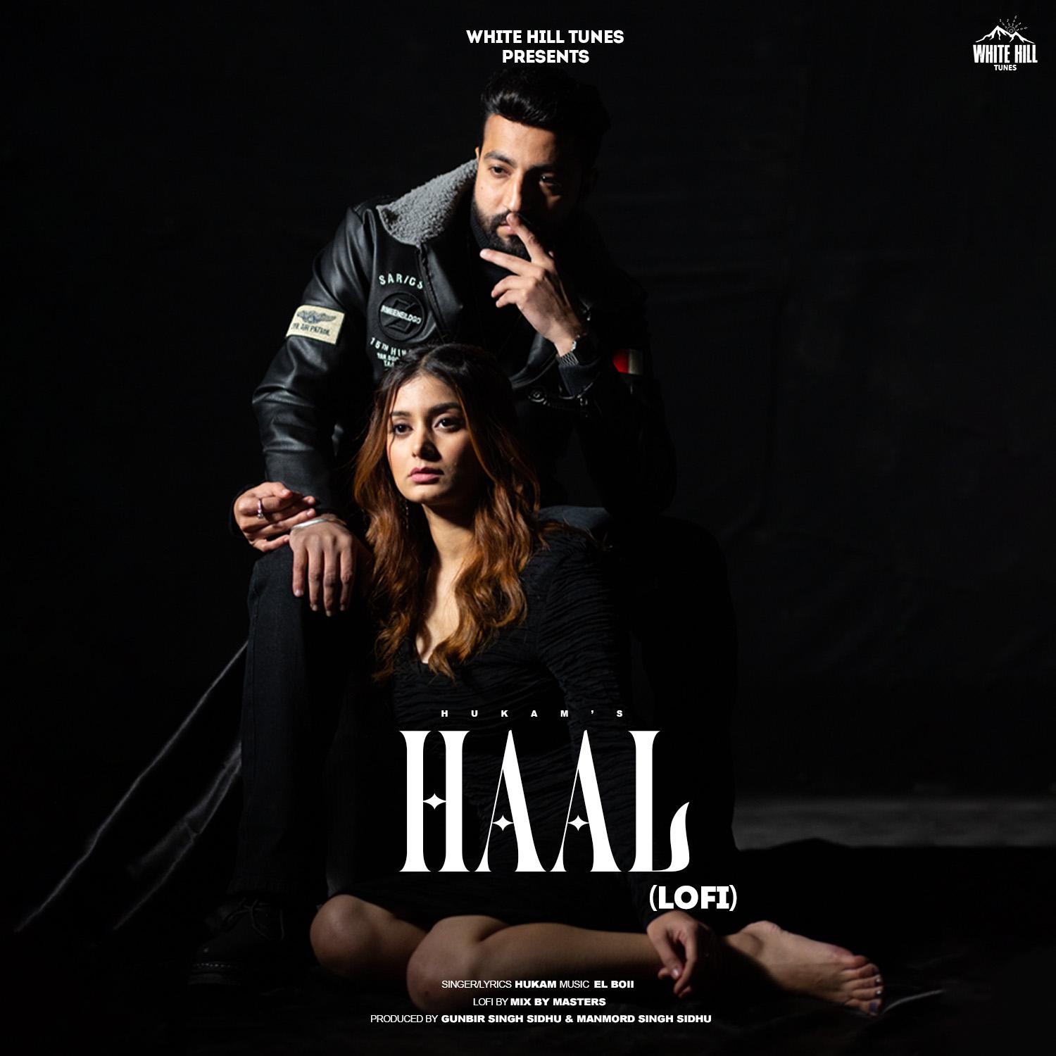 Постер альбома Haal - Lofi