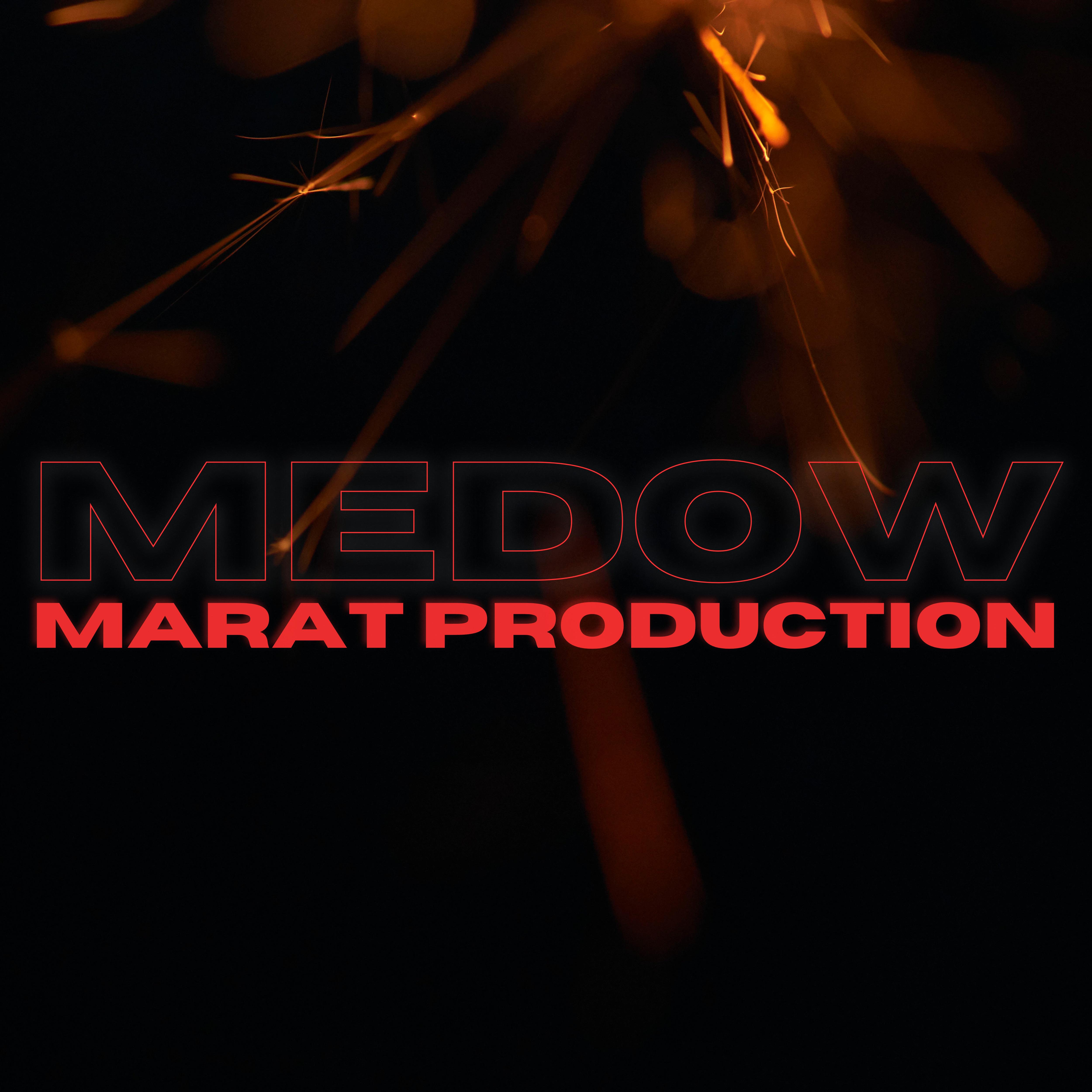 Постер альбома Medow