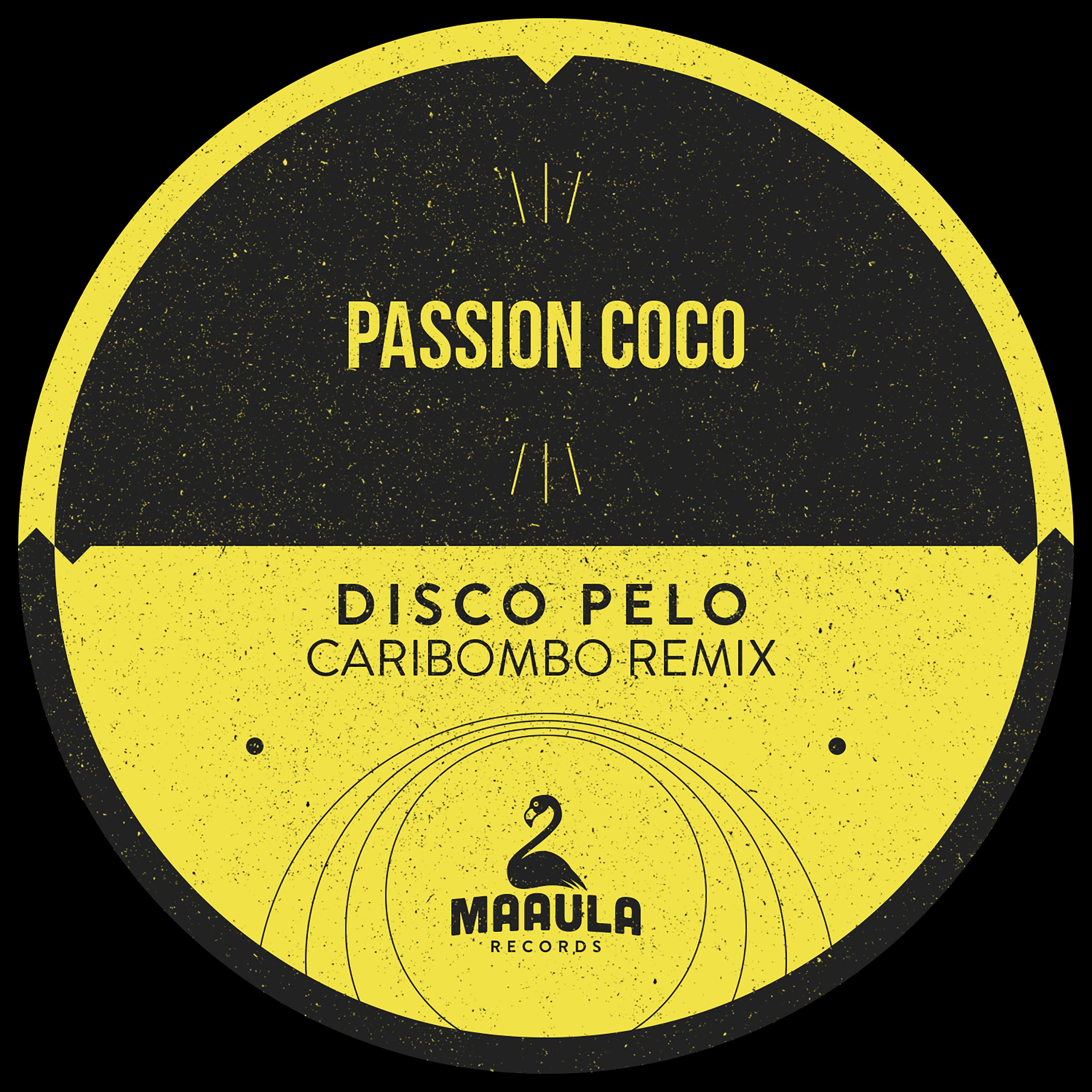 Постер альбома Disco Pelo