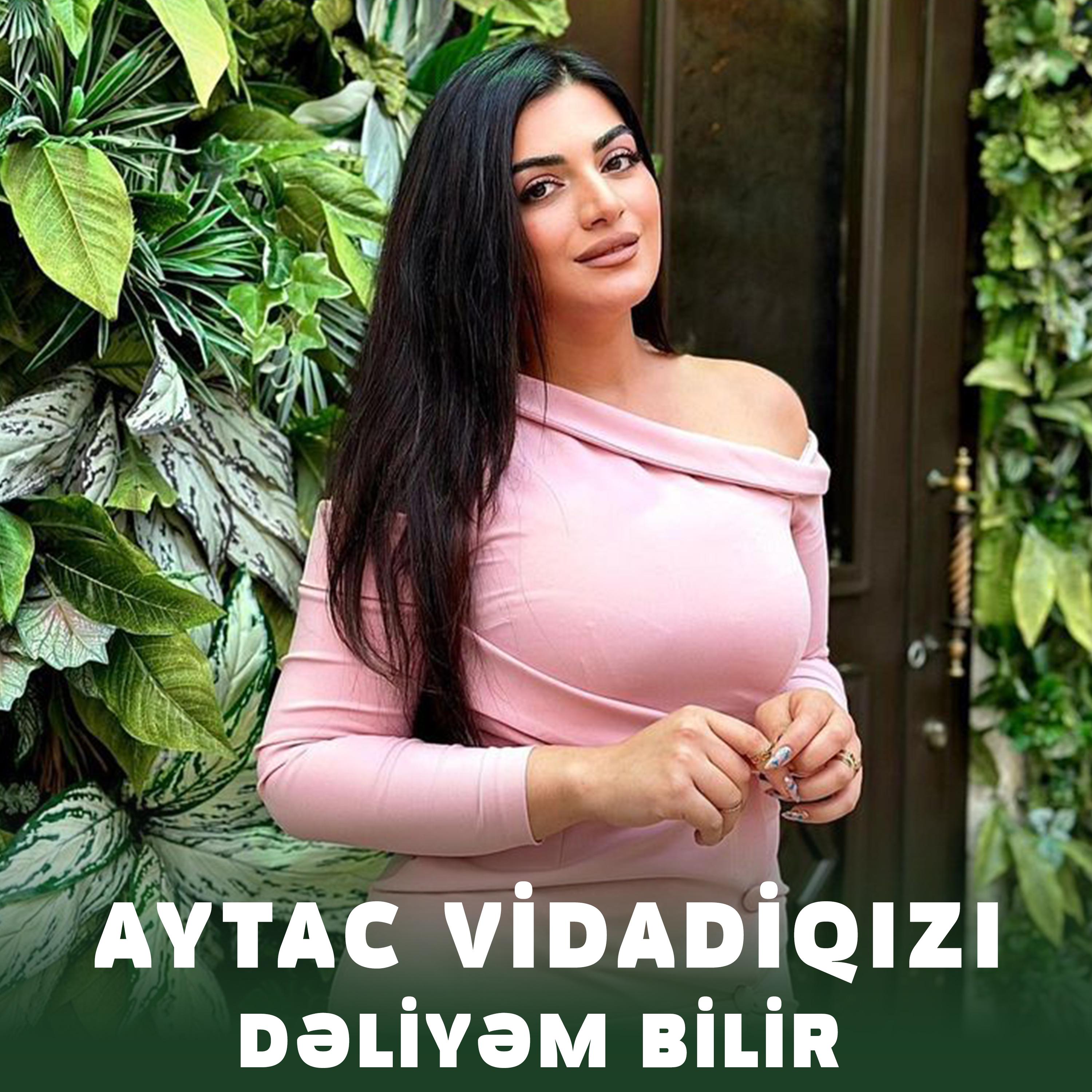 Постер альбома Dəliyəm Bilir