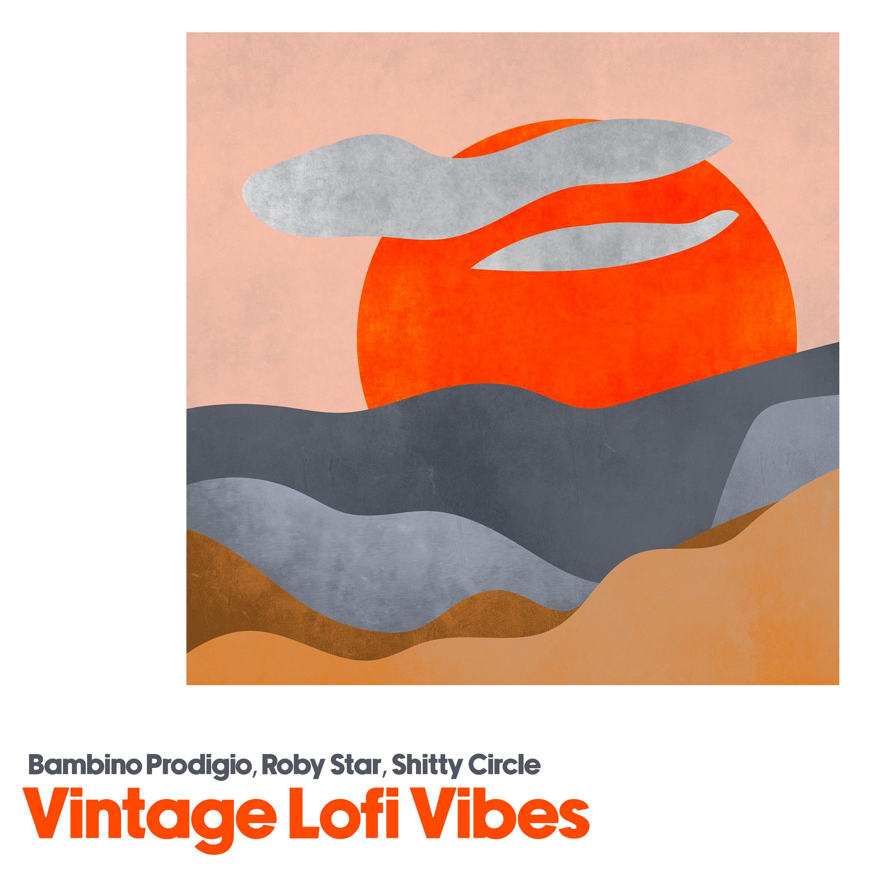 Постер альбома Vintage LoFi Vibes