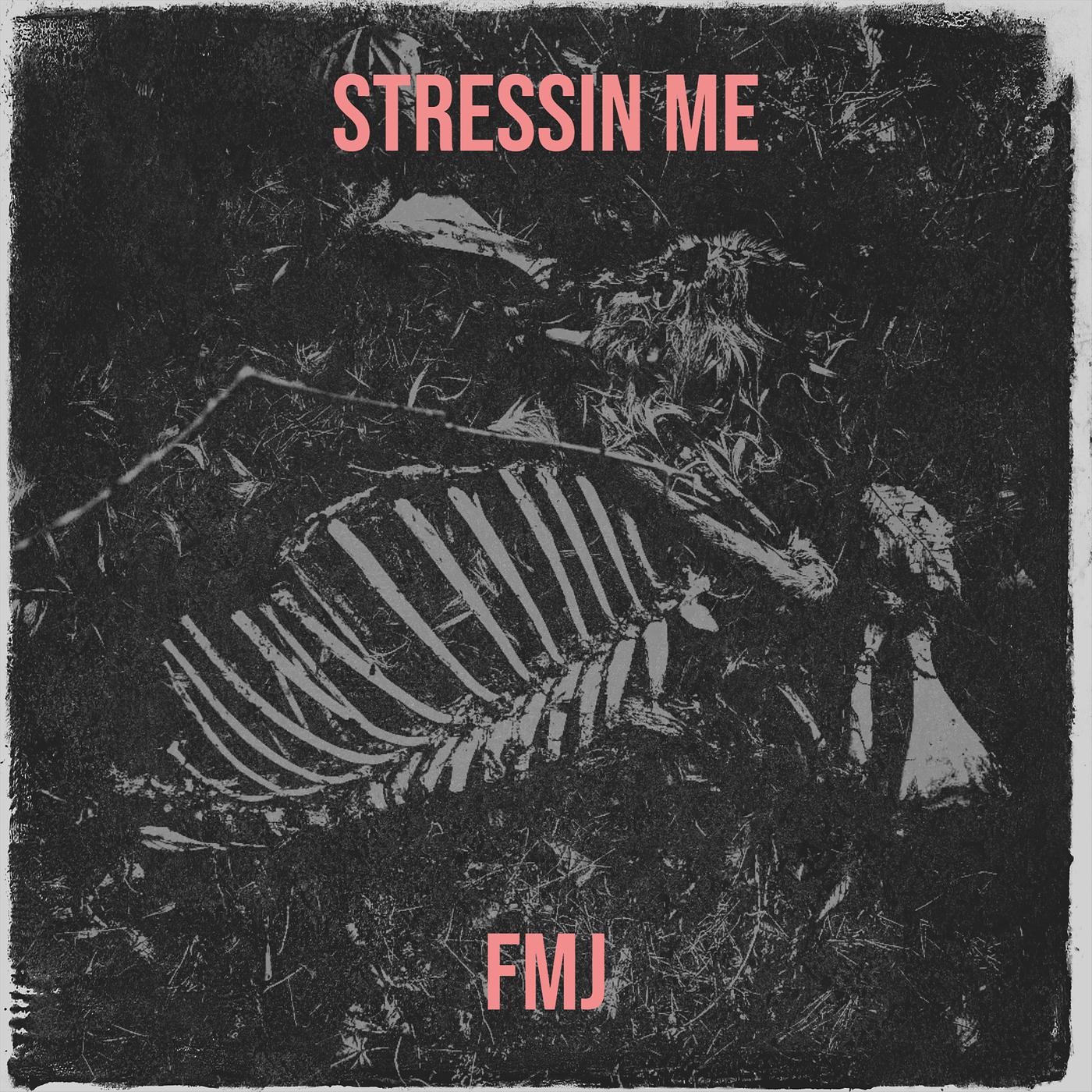 Постер альбома Stressin Me