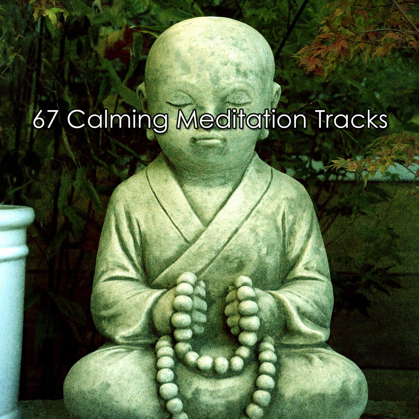 Постер альбома 67 Calming Meditation Tracks