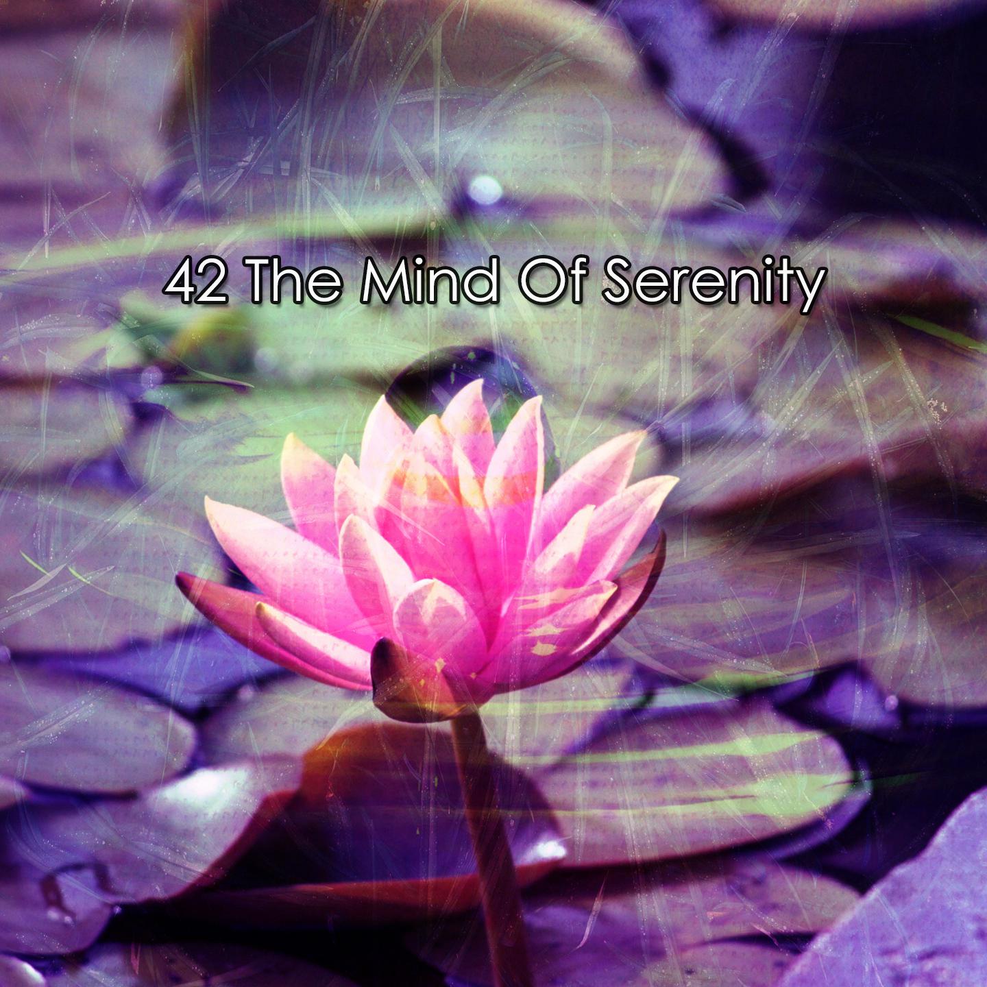 Постер альбома 42 The Mind Of Serenity