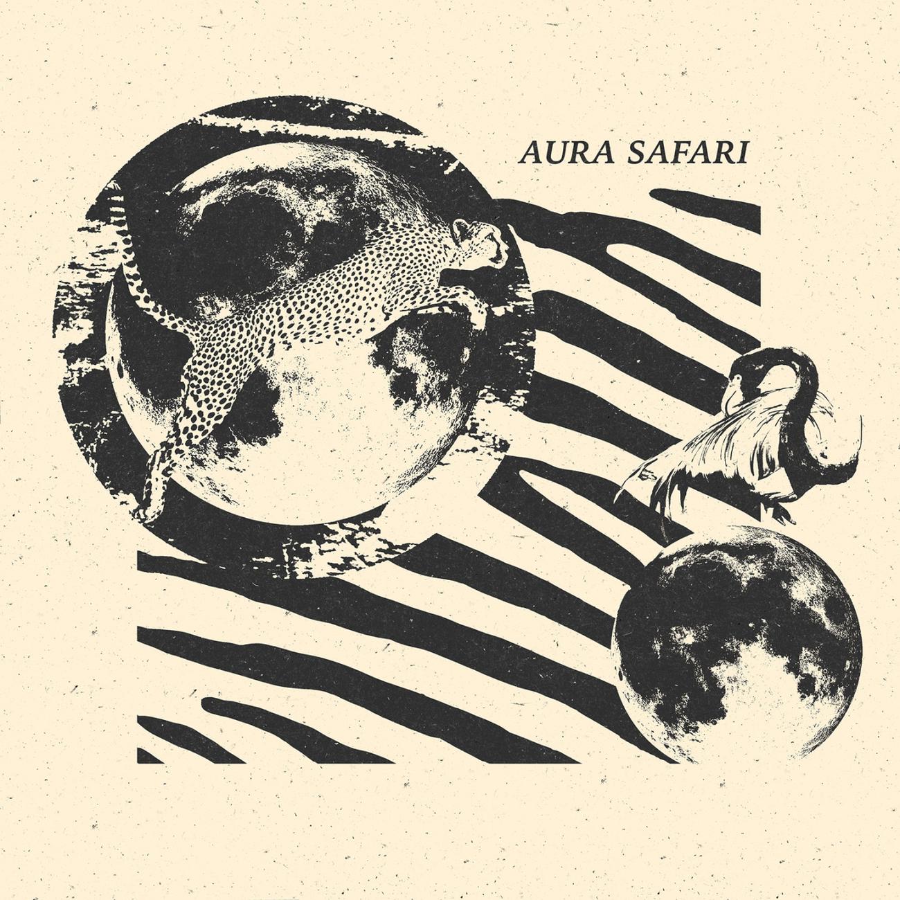 Постер альбома Aura Safari