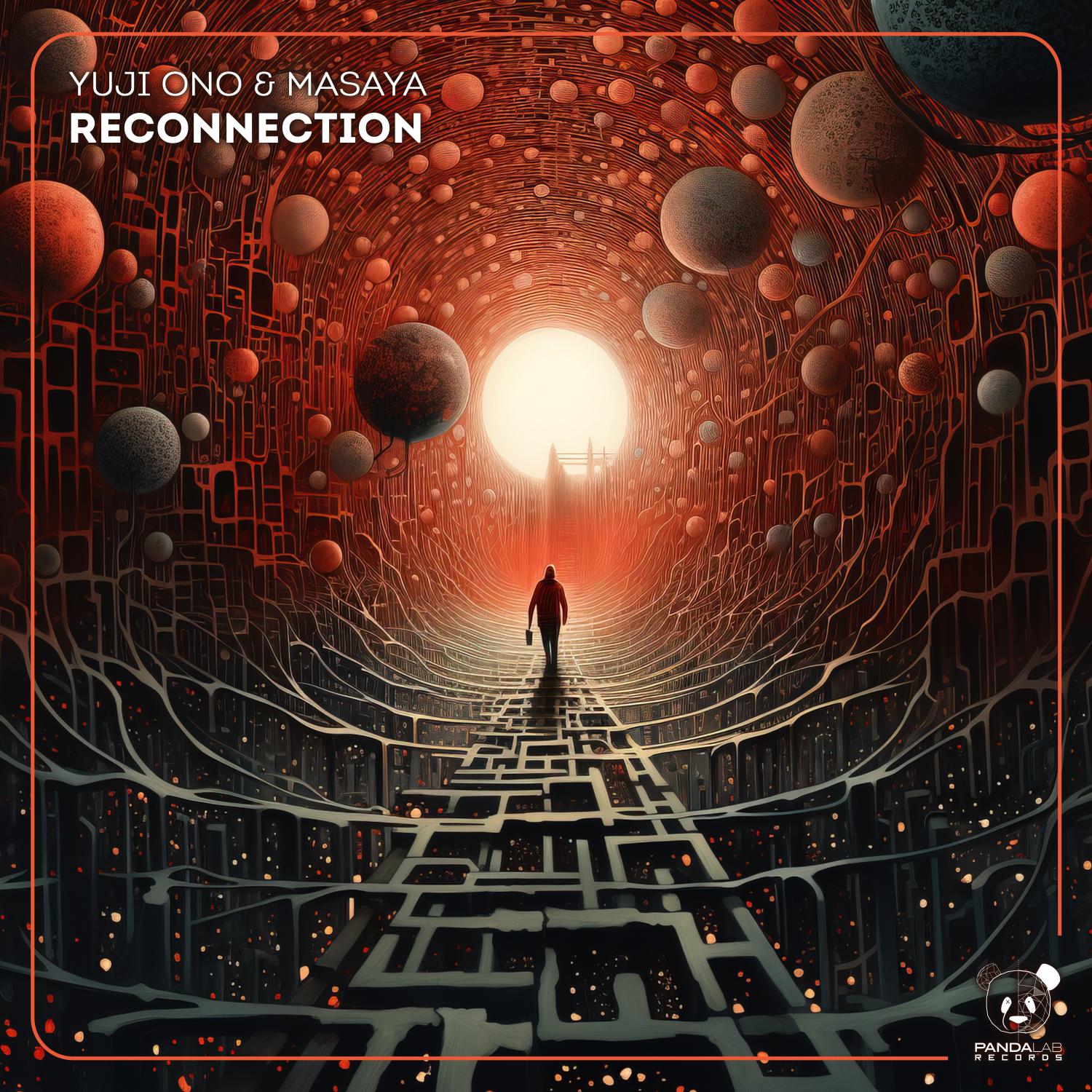 Постер альбома Reconnection