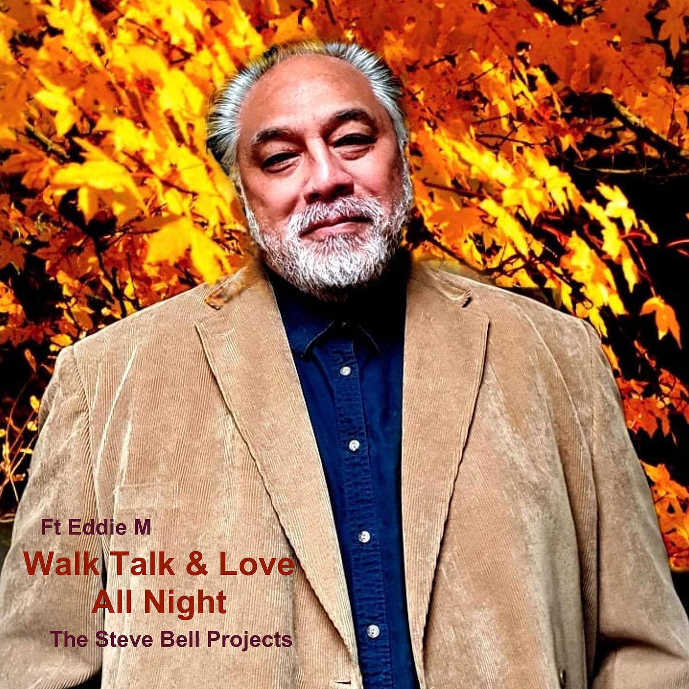 Постер альбома Walk Talk & Love All Night