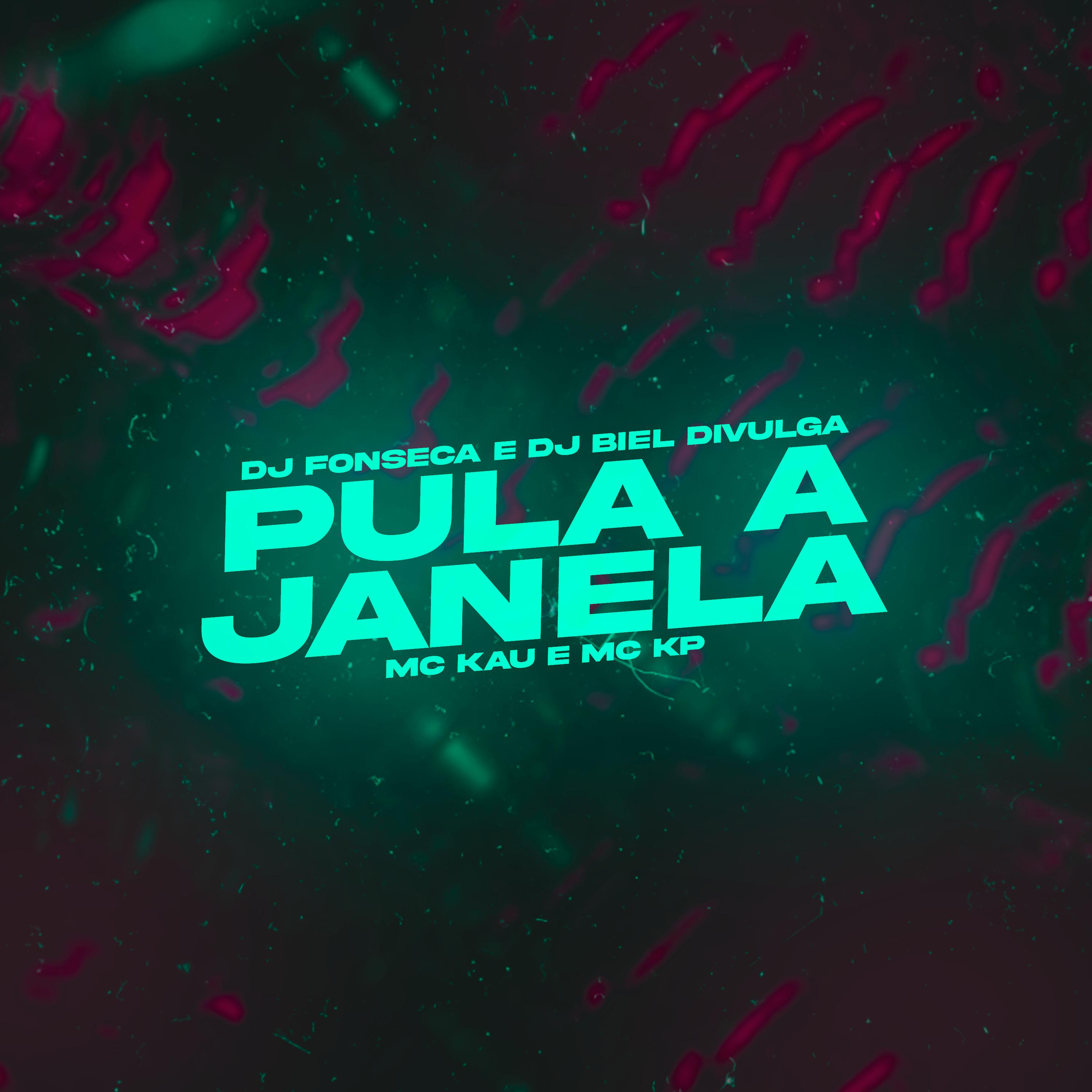 Постер альбома Pula a Janela