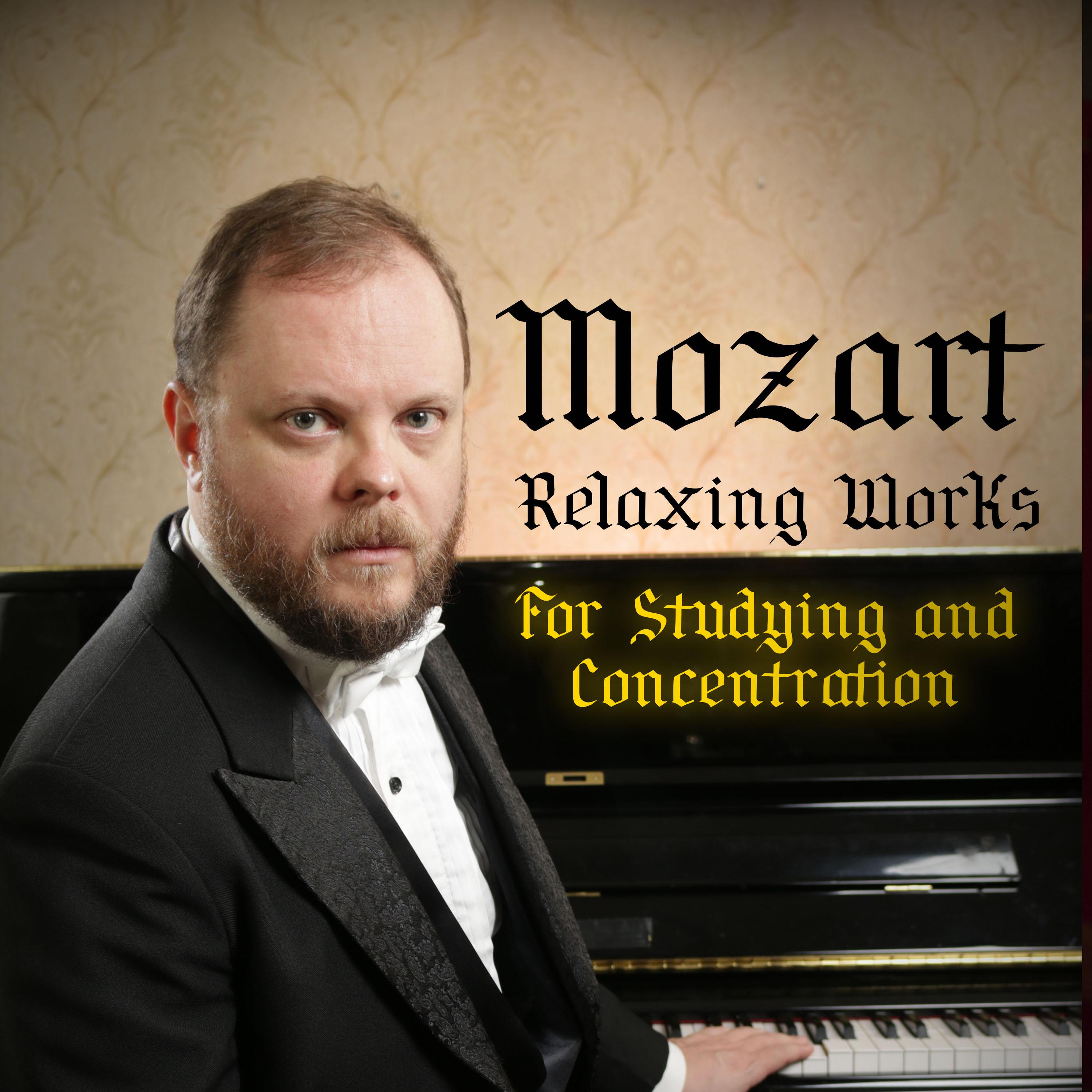 Постер альбома Mozart Relaxing Works for Studying and Concentration