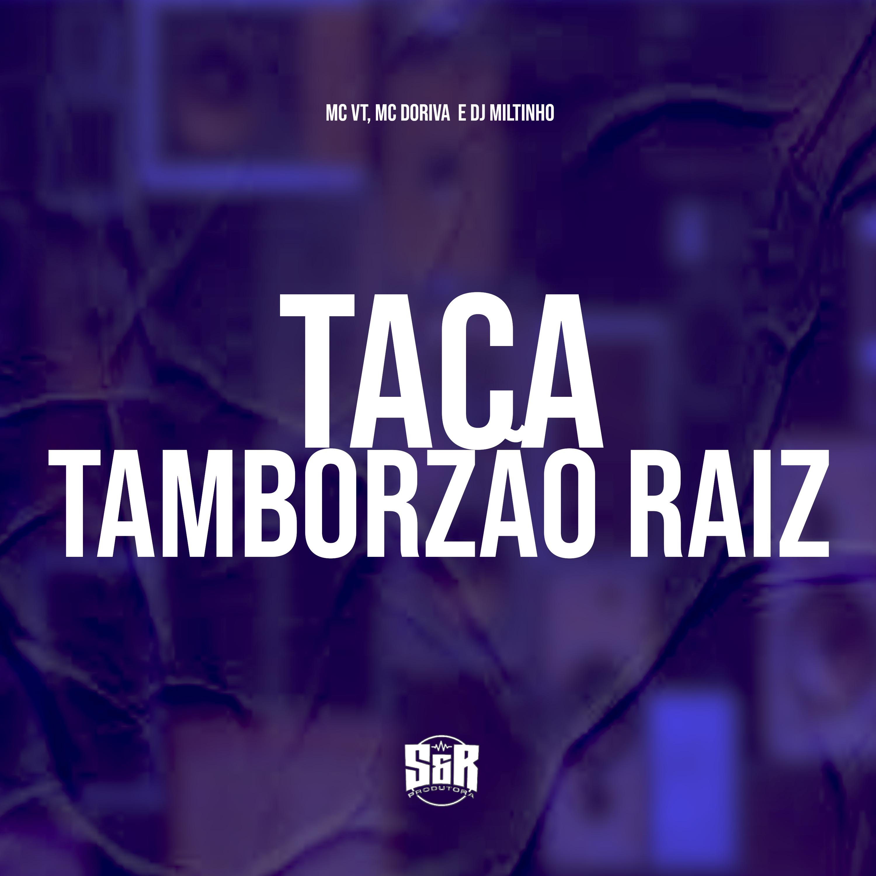 Постер альбома Taca Tamborzão Raiz